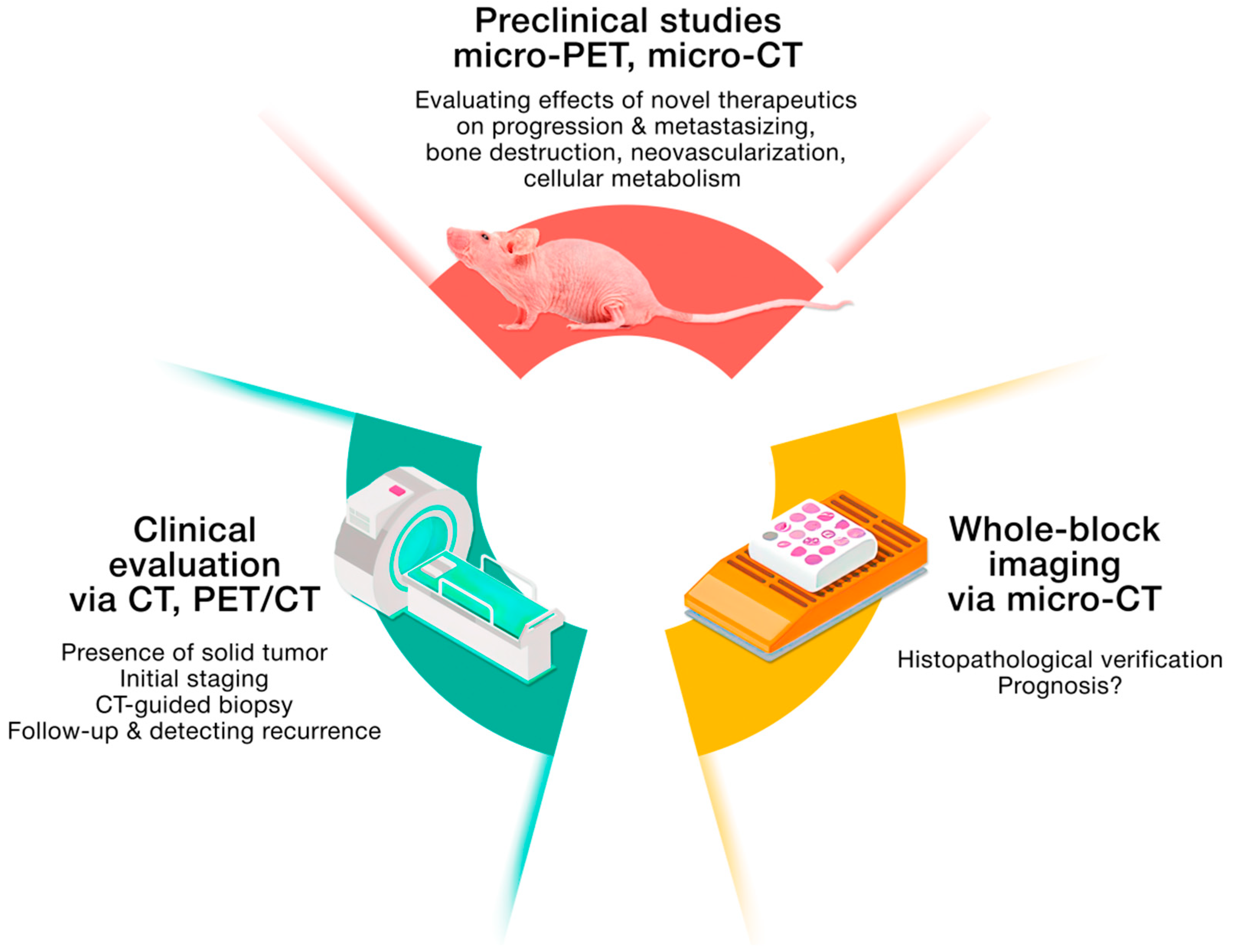 Cancers 14 05112 g001