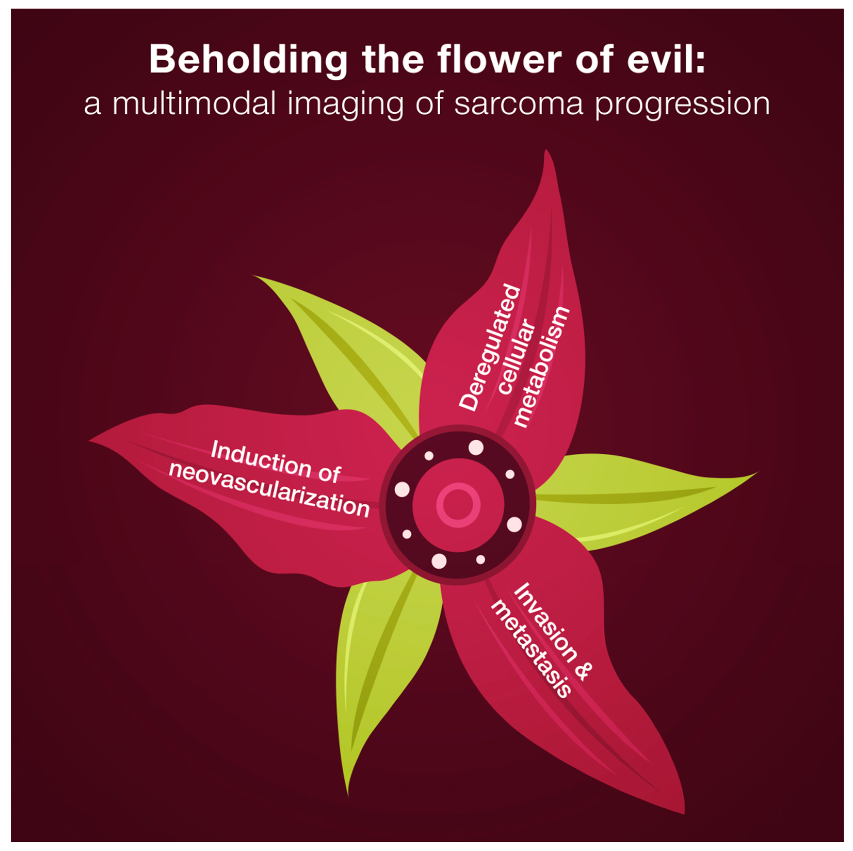 Cancers 14 05112 g002