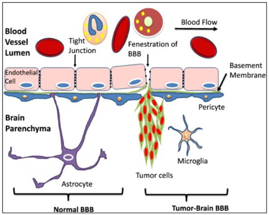 Cancers 14 05132 g001