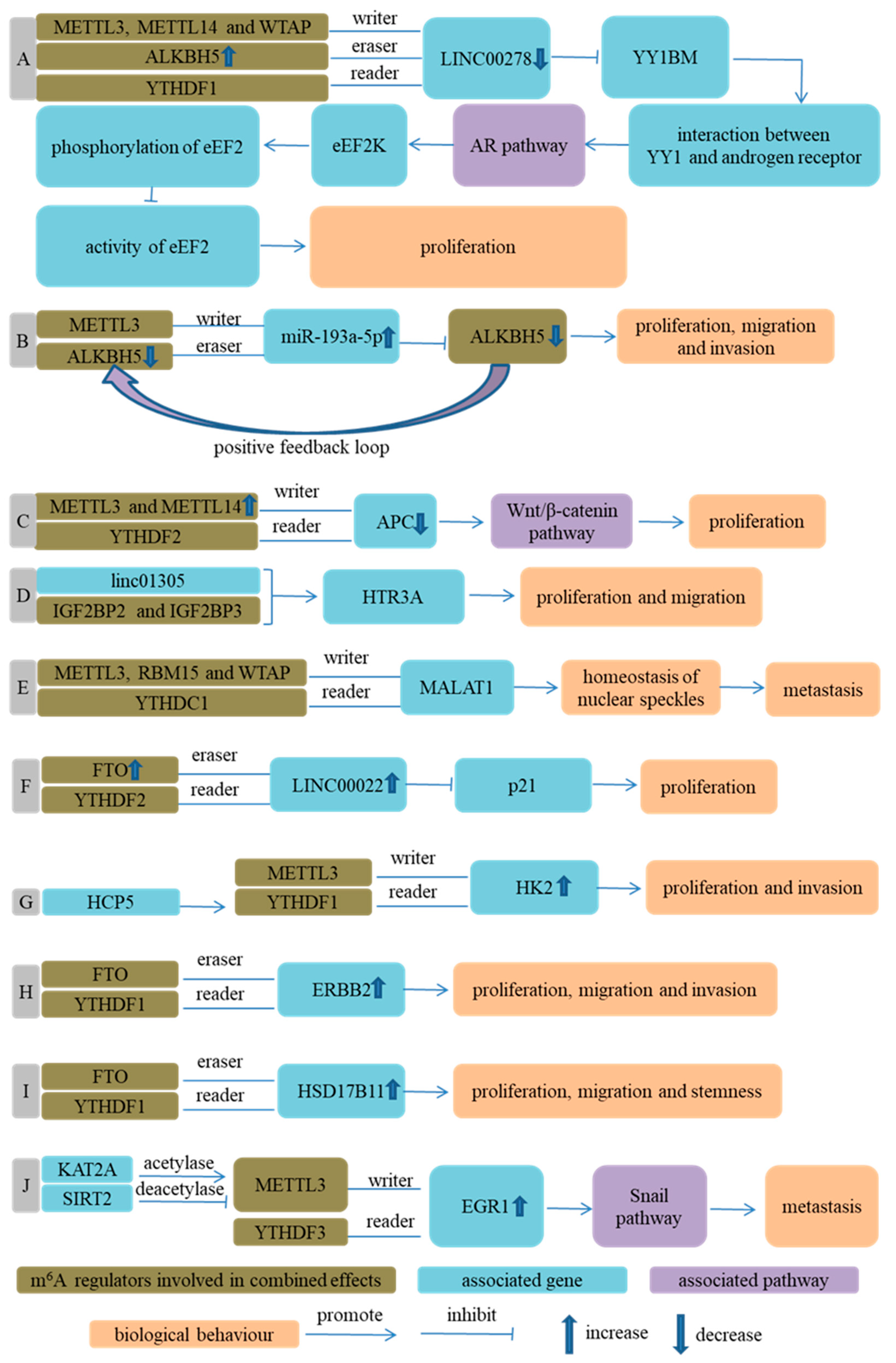 Cancers 14 05139 g007