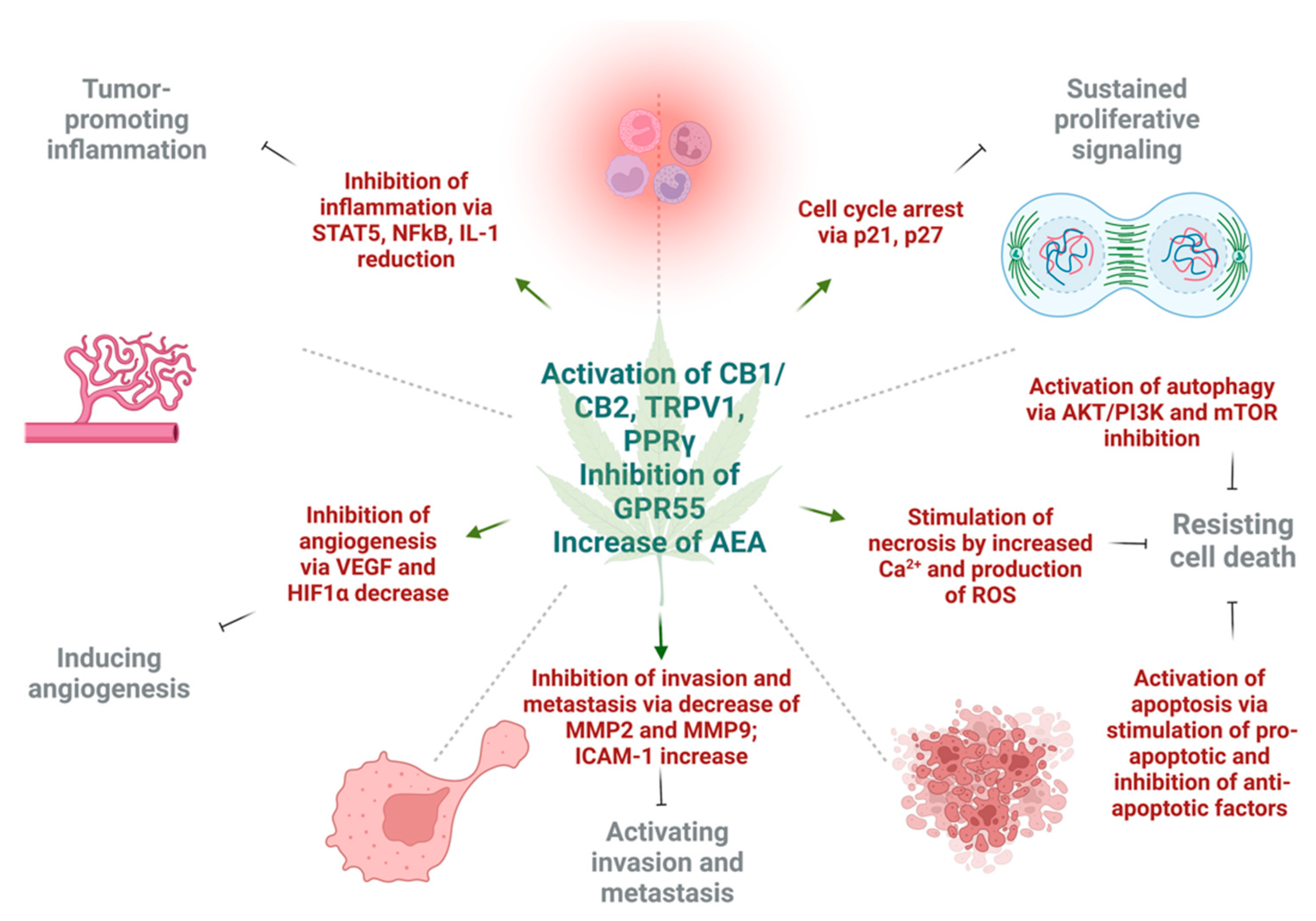 Cancers 14 05142 g002