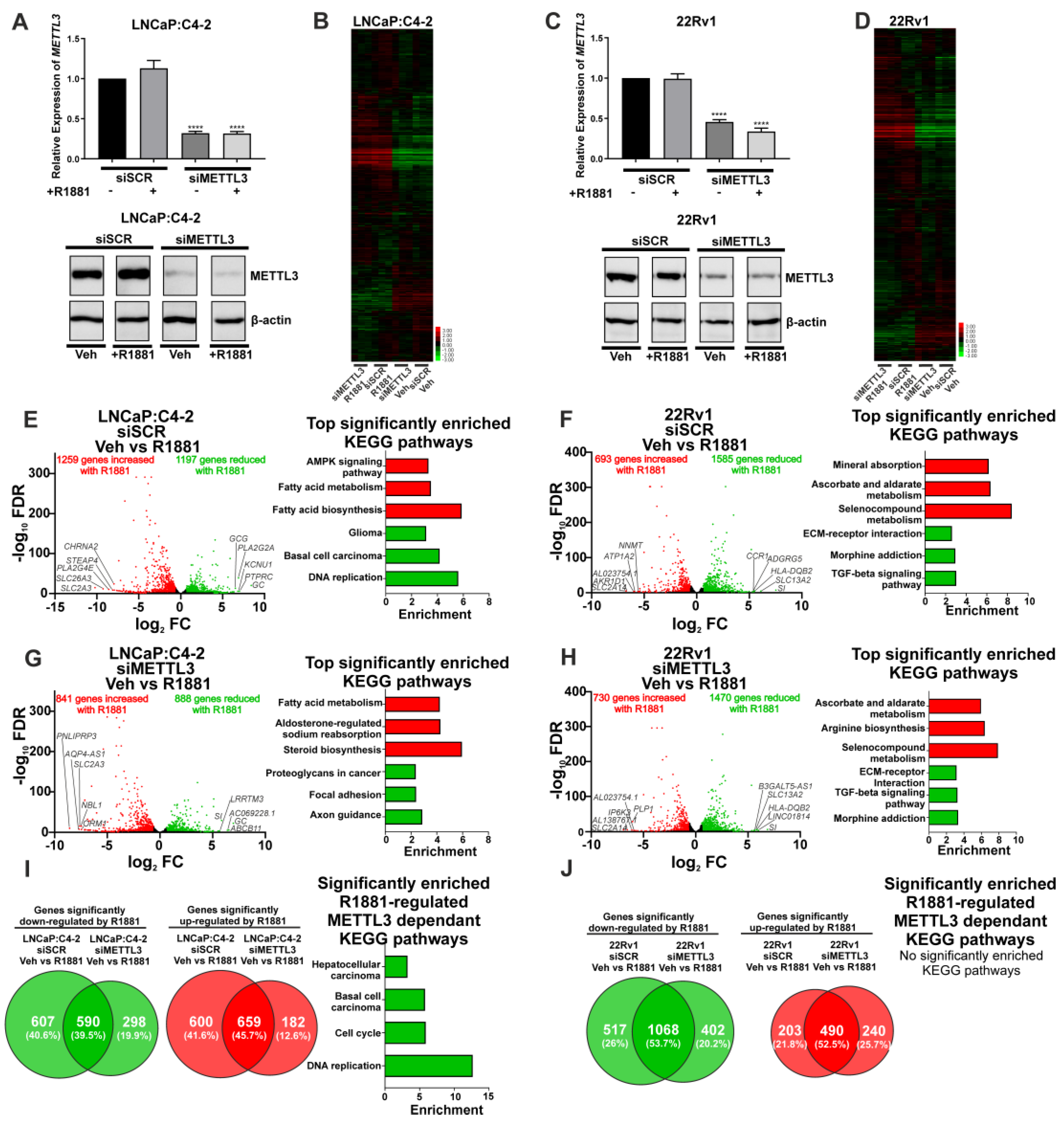 Cancers 14 05148 g004