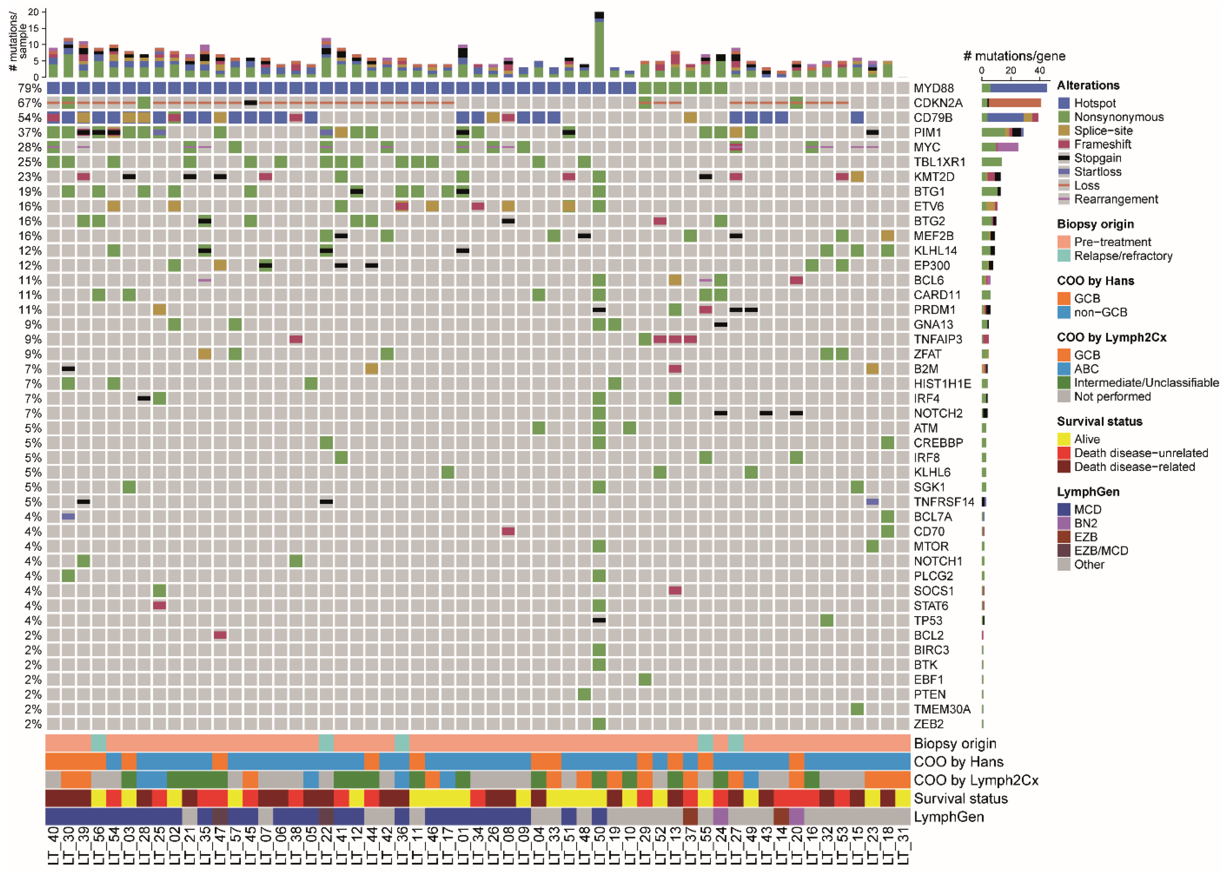 Cancers 14 05152 g002