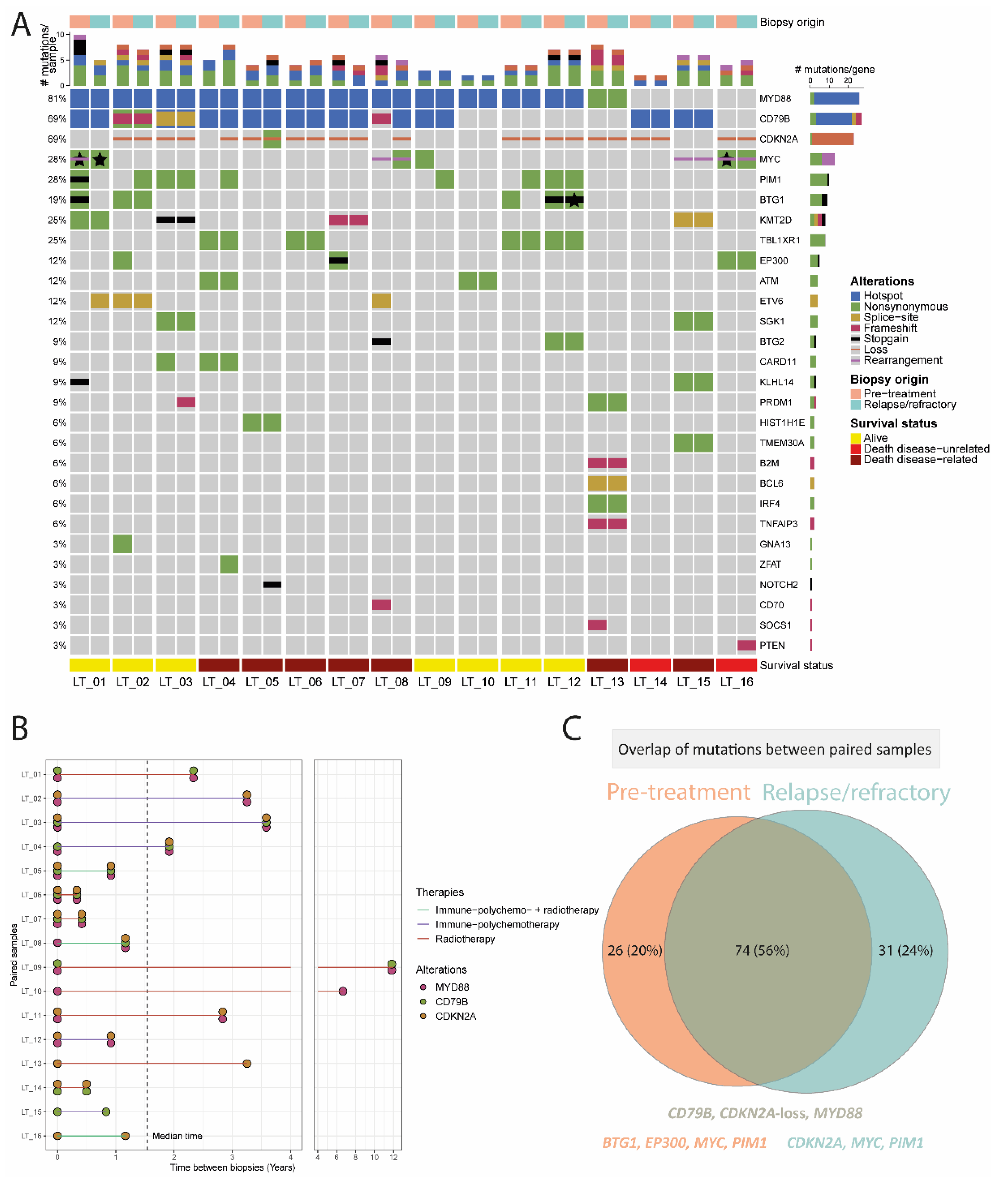 Cancers 14 05152 g003