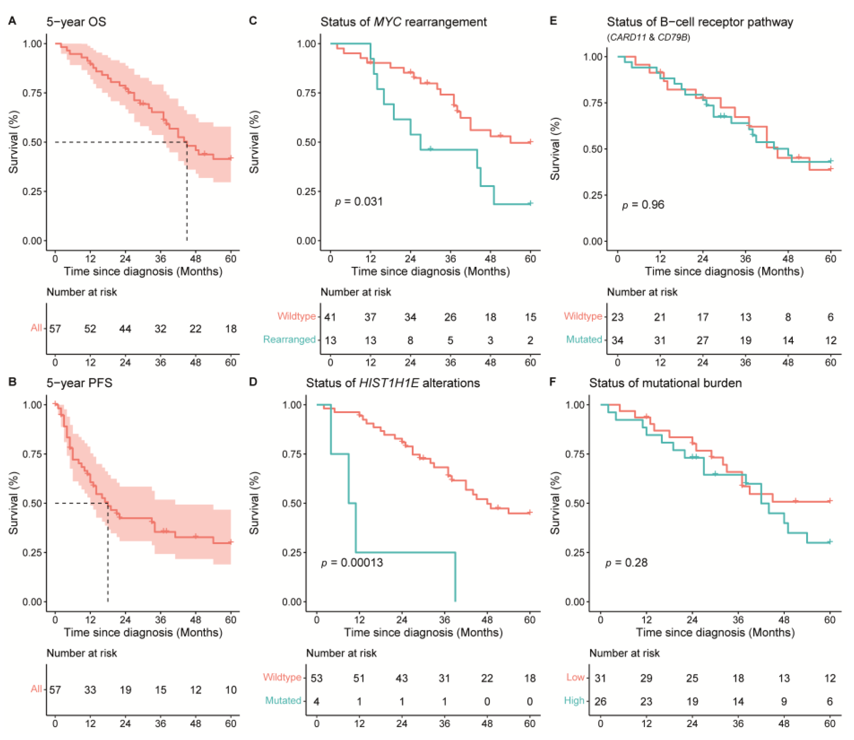 Cancers 14 05152 g004
