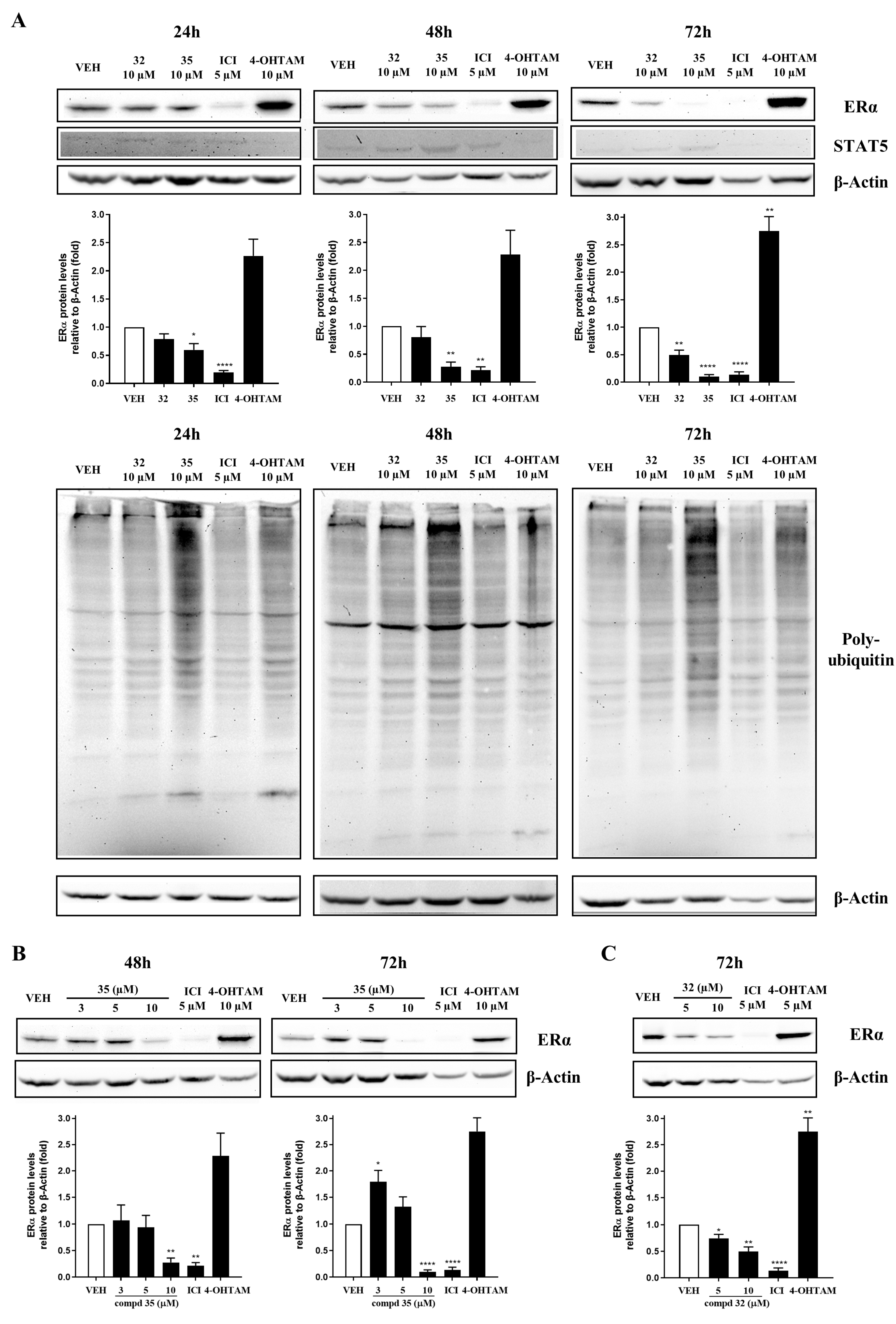Cancers 14 05174 g014