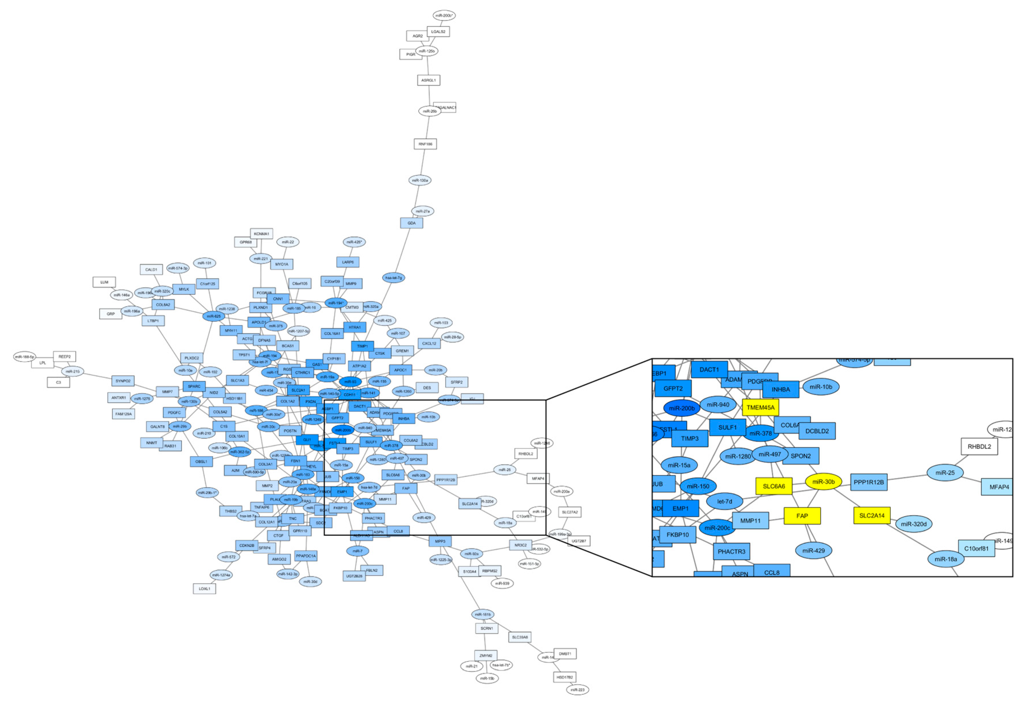 Cancers 14 05175 g003