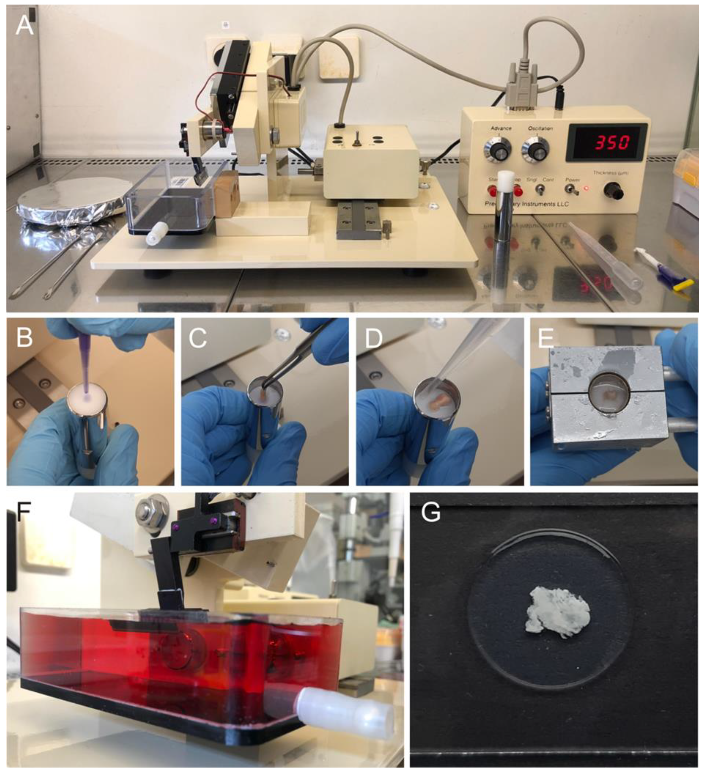 Cancers 14 05177 g002