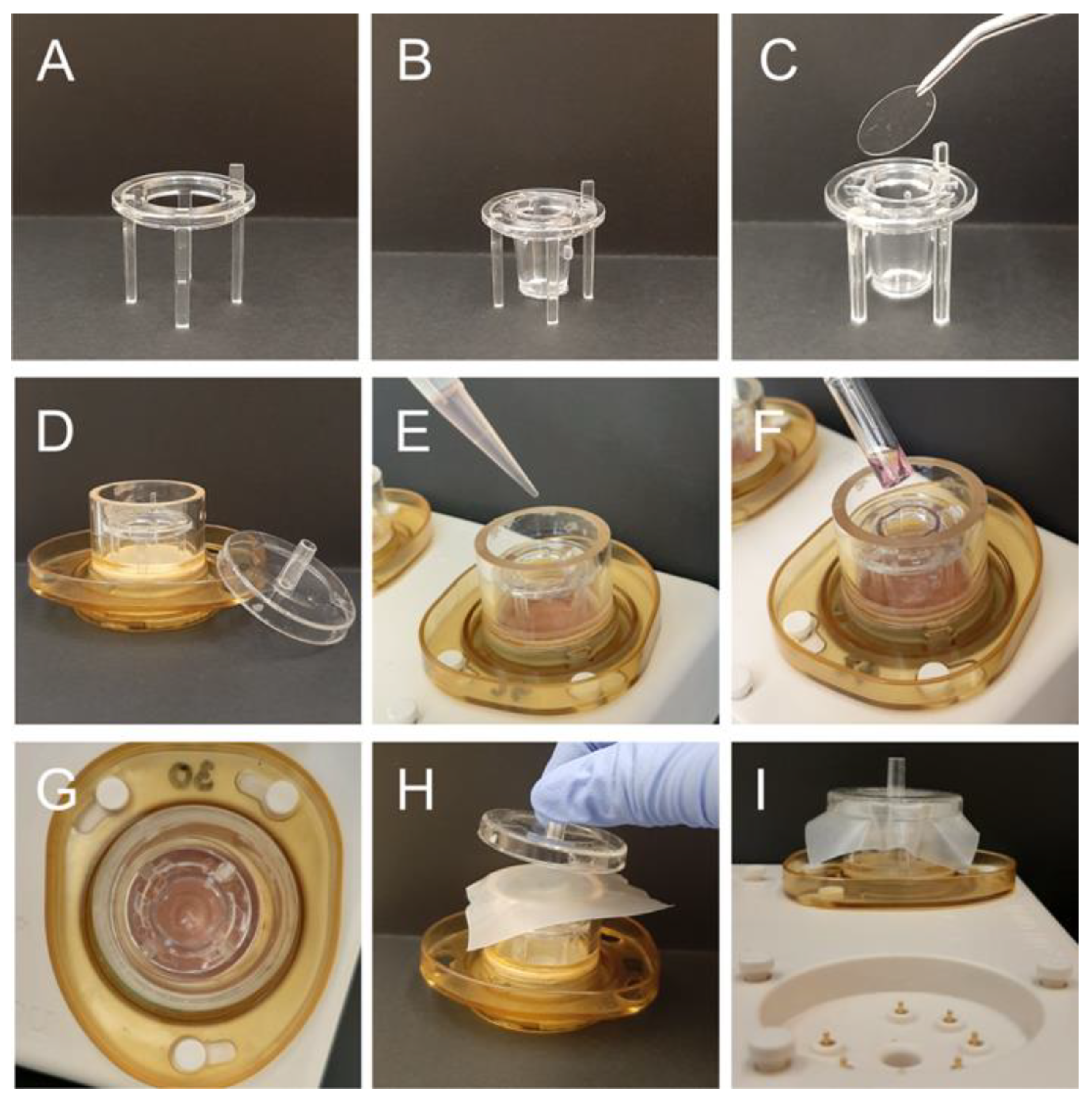 Cancers 14 05177 g003