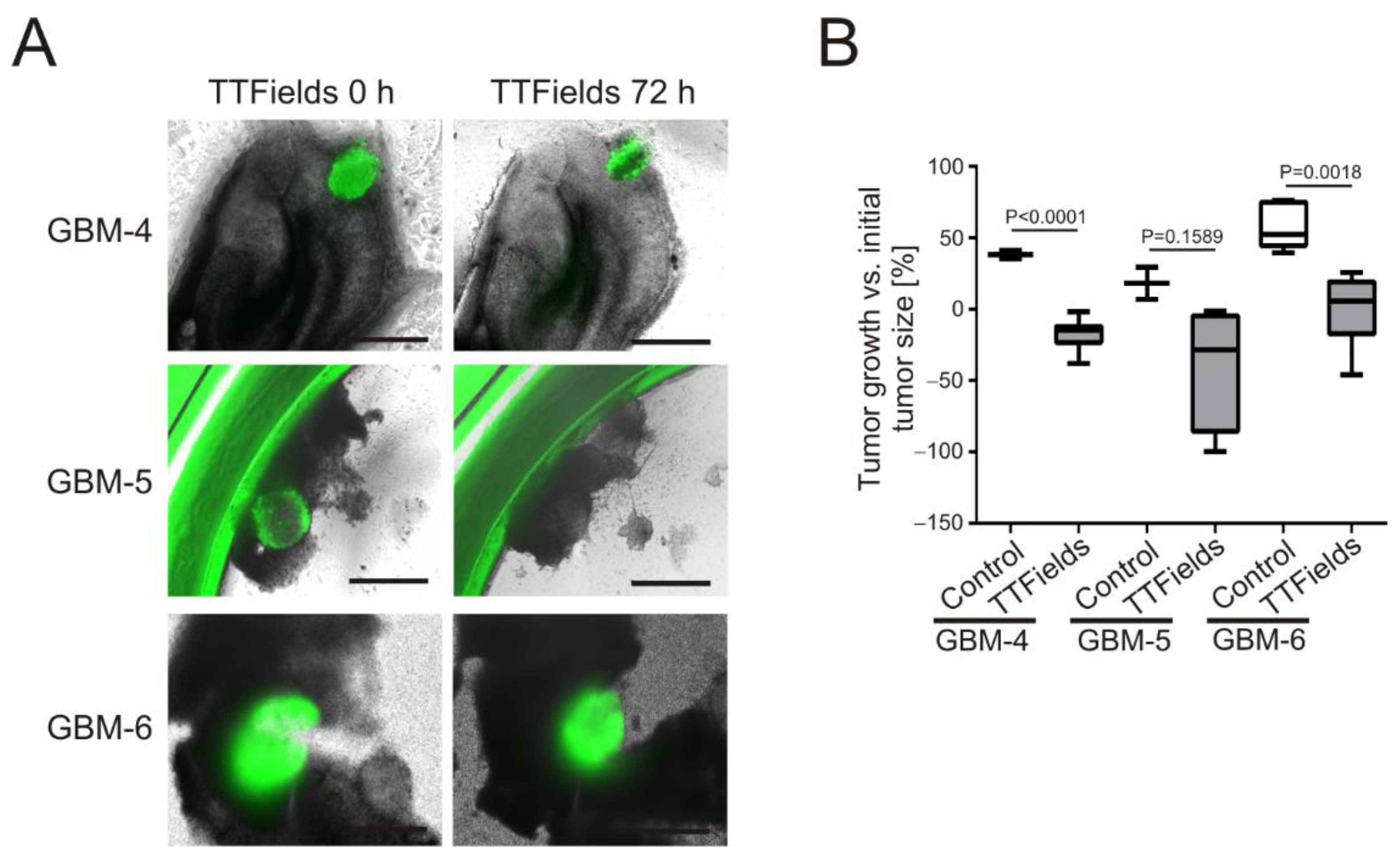 Cancers 14 05177 g005