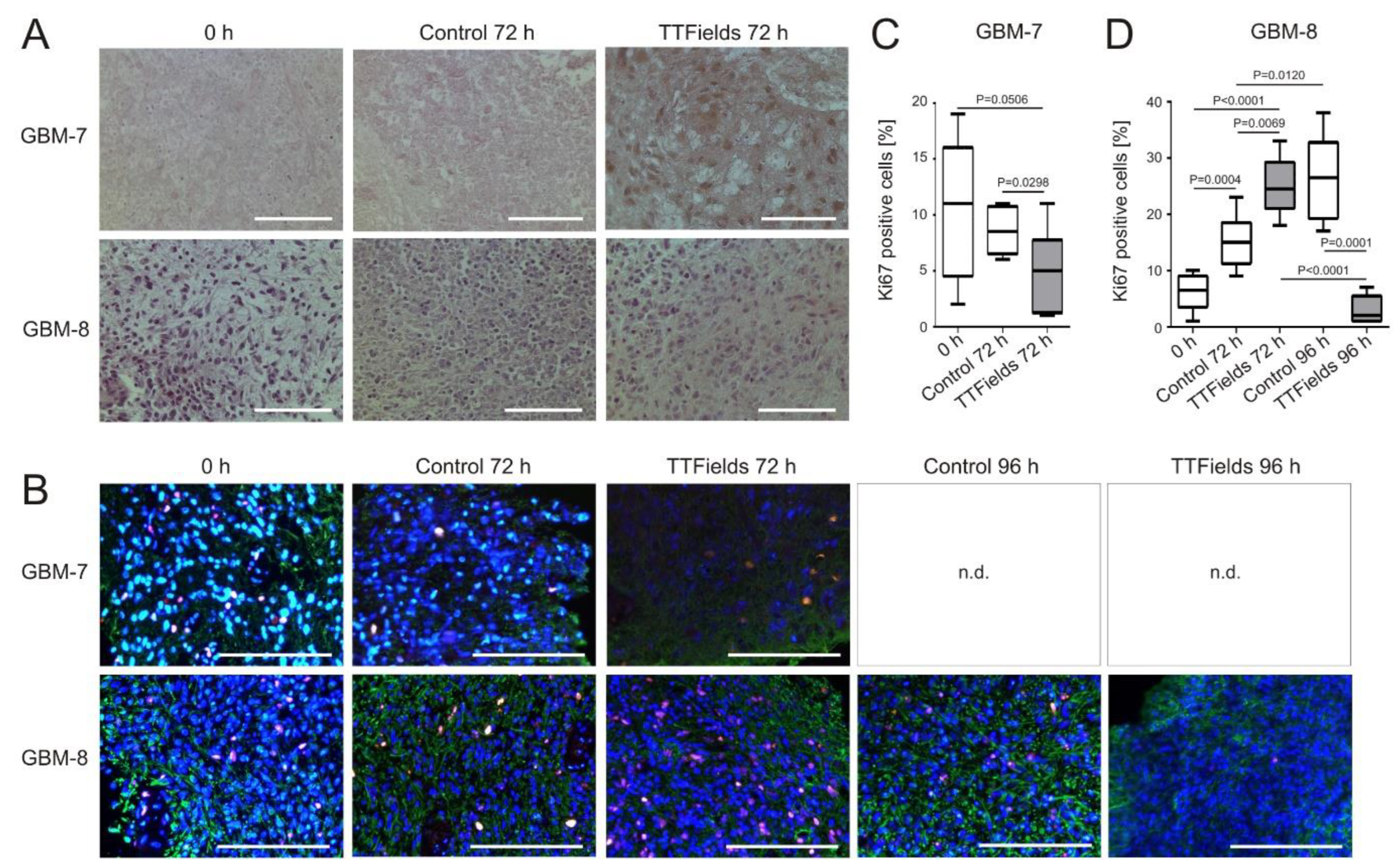 Cancers 14 05177 g006