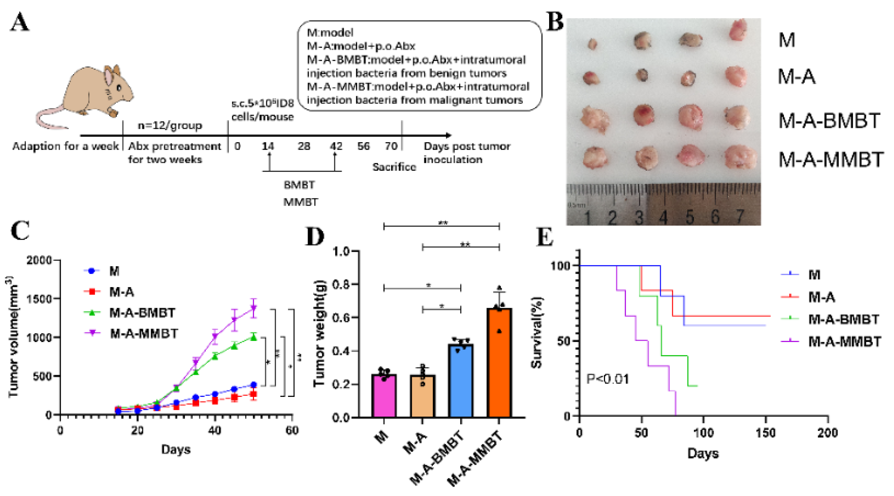 Cancers 14 05178 g003