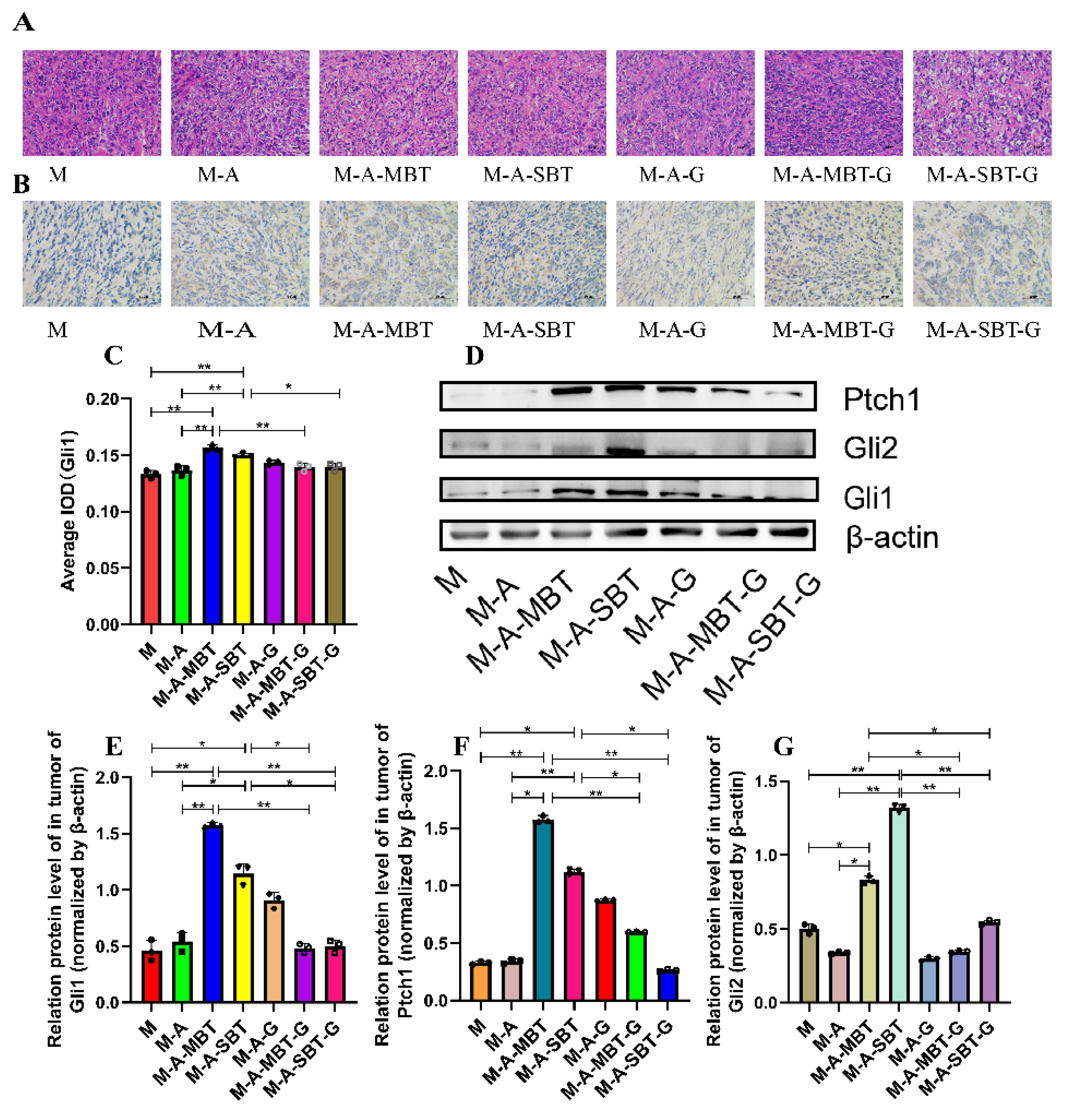 Cancers 14 05178 g006