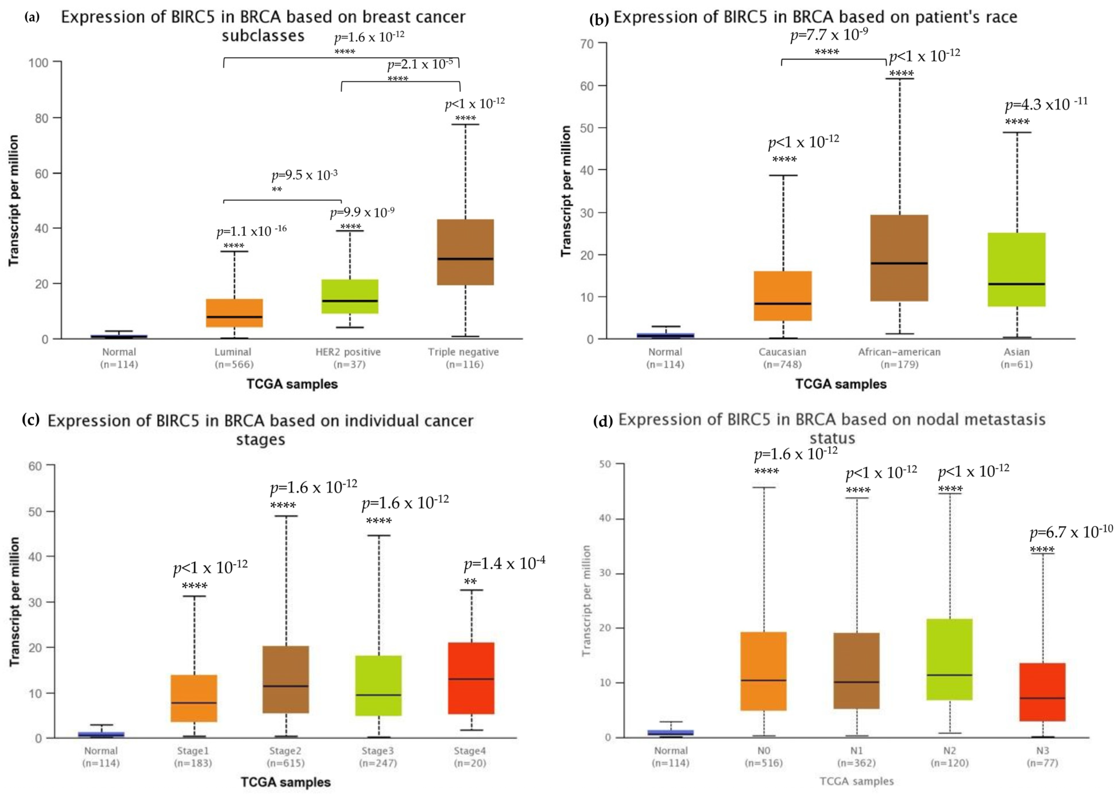 Cancers 14 05180 g003
