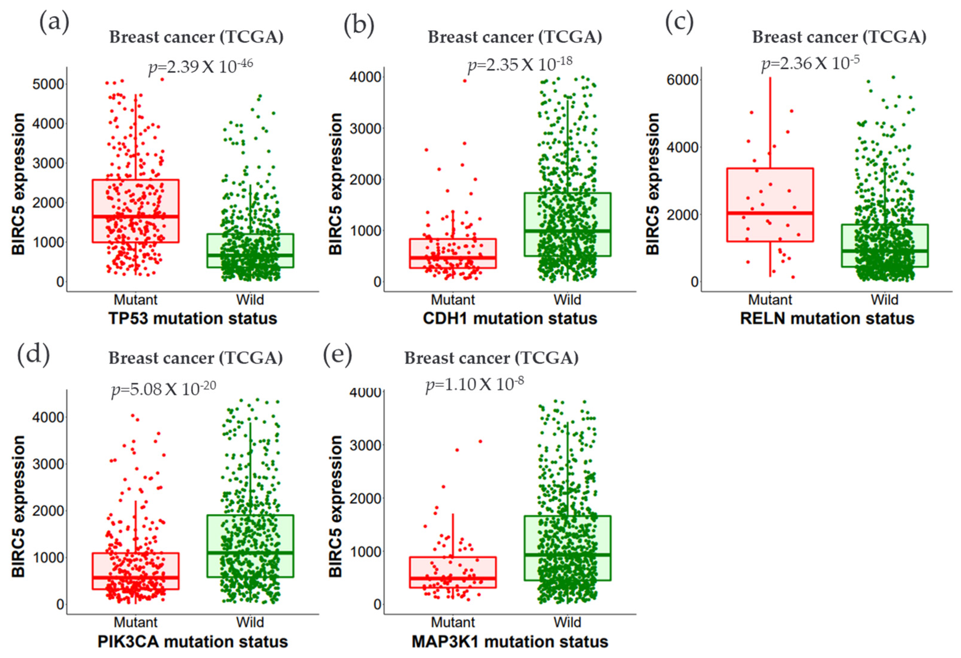 Cancers 14 05180 g009