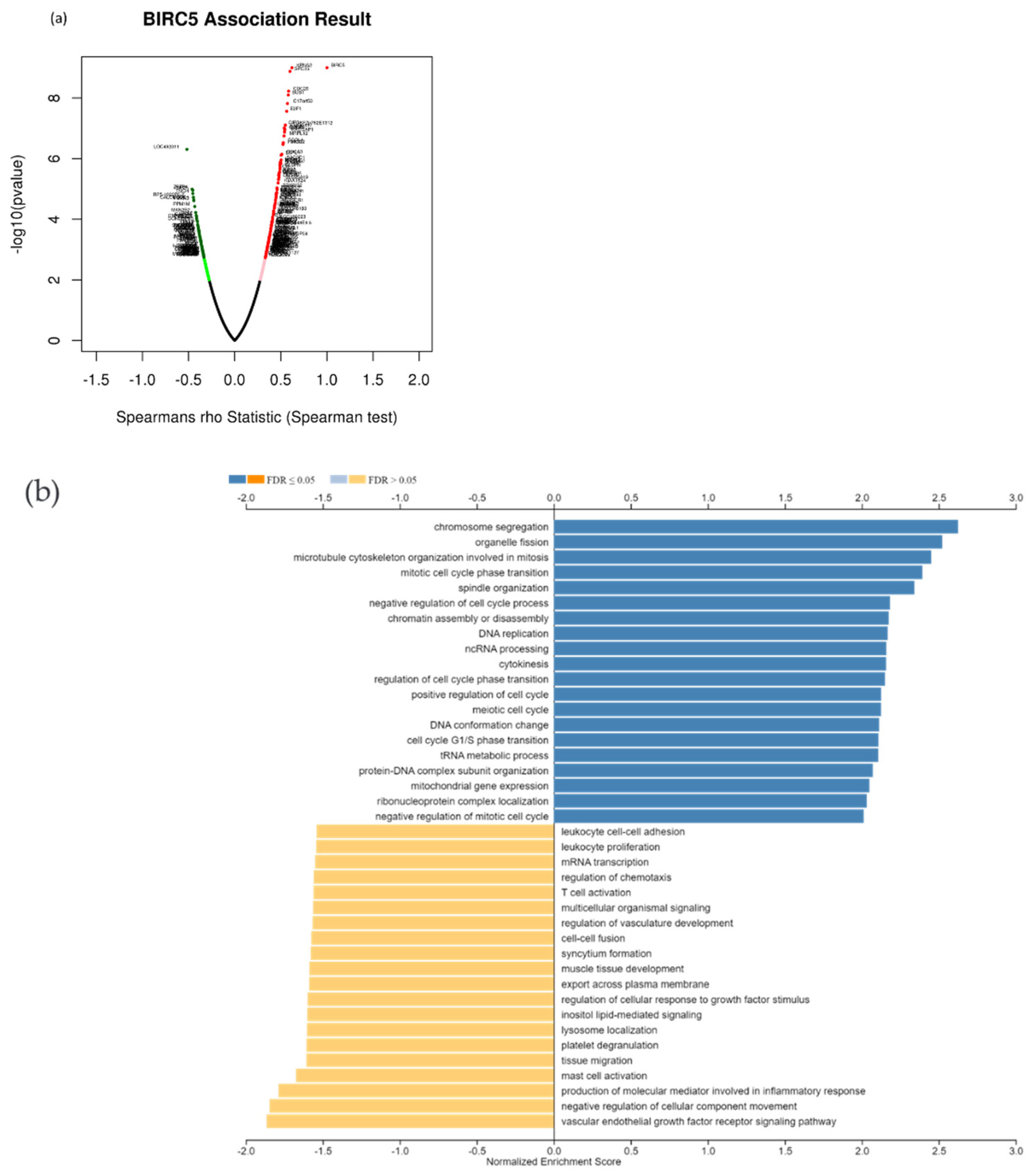 Cancers 14 05180 g011a