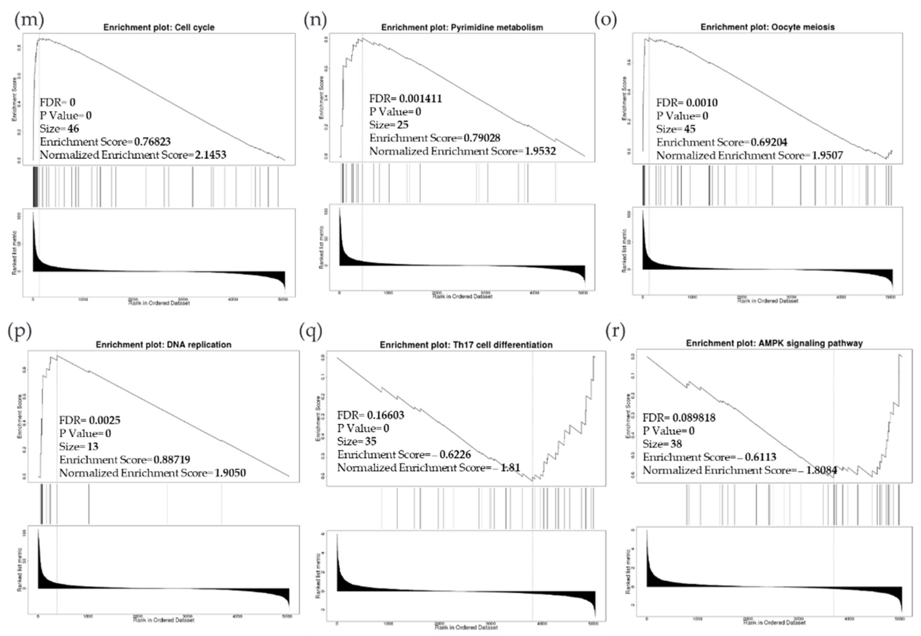 Cancers 14 05180 g011c
