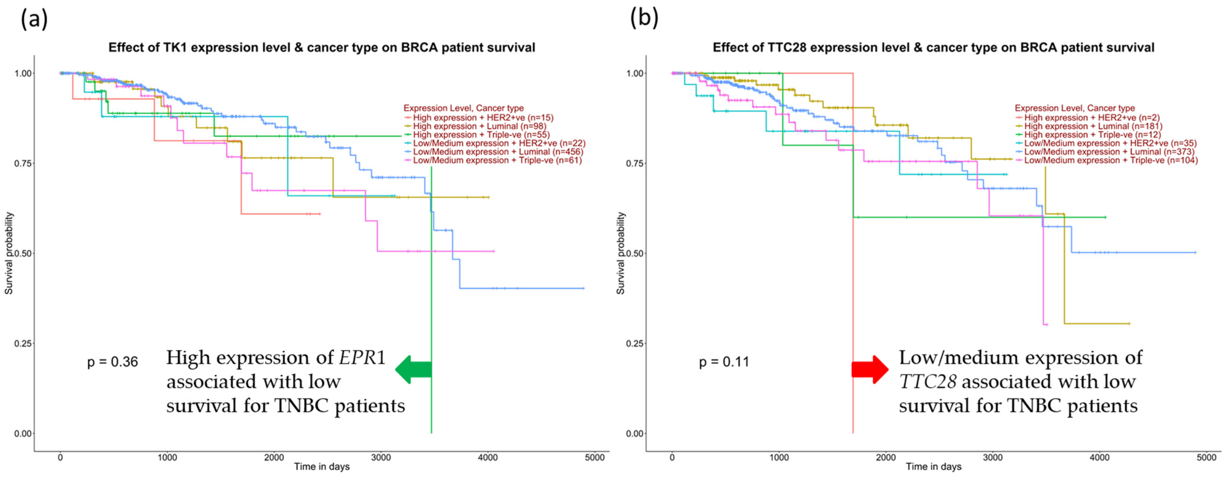 Cancers 14 05180 g014