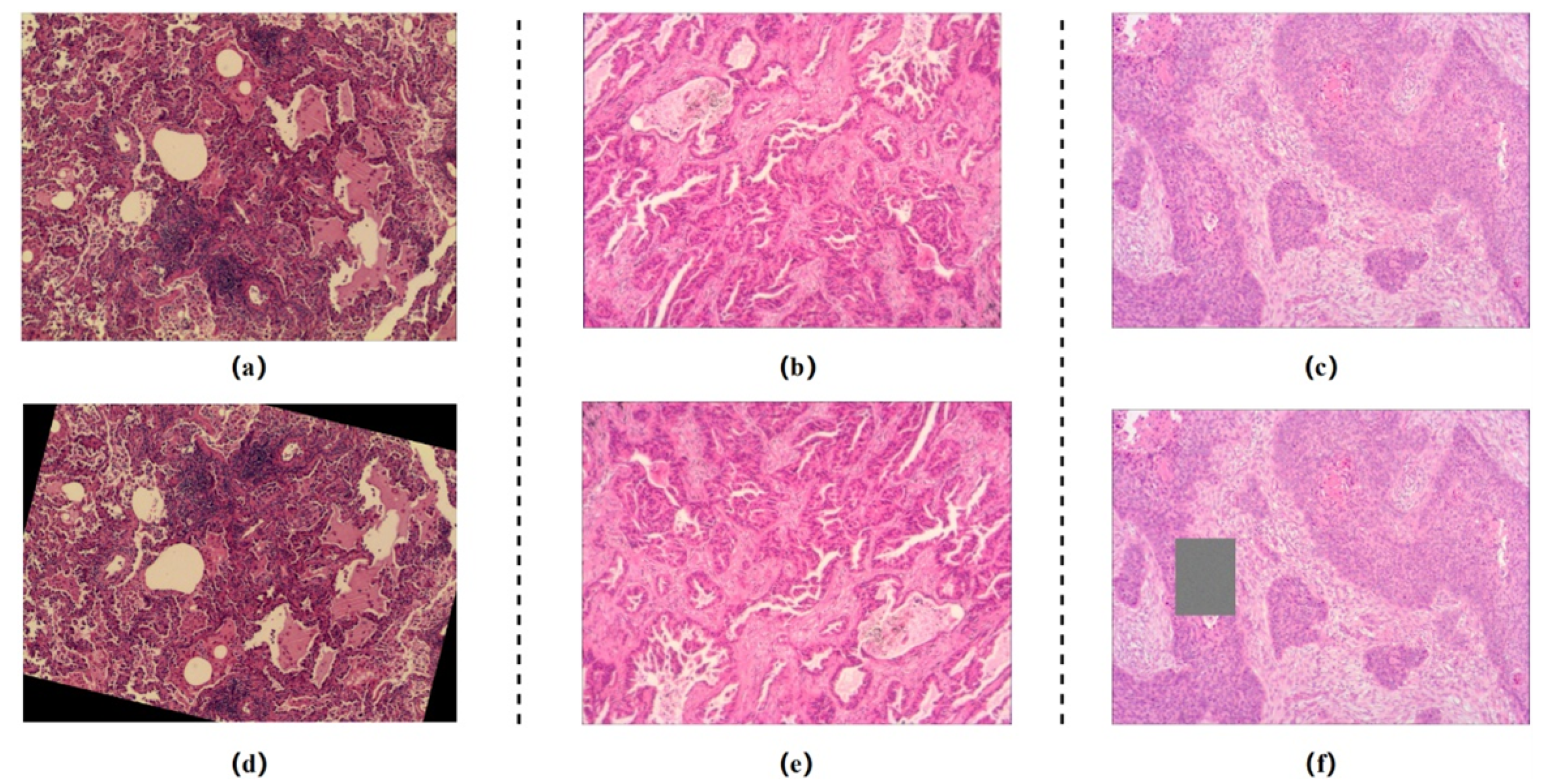 Cancers 14 05181 g001