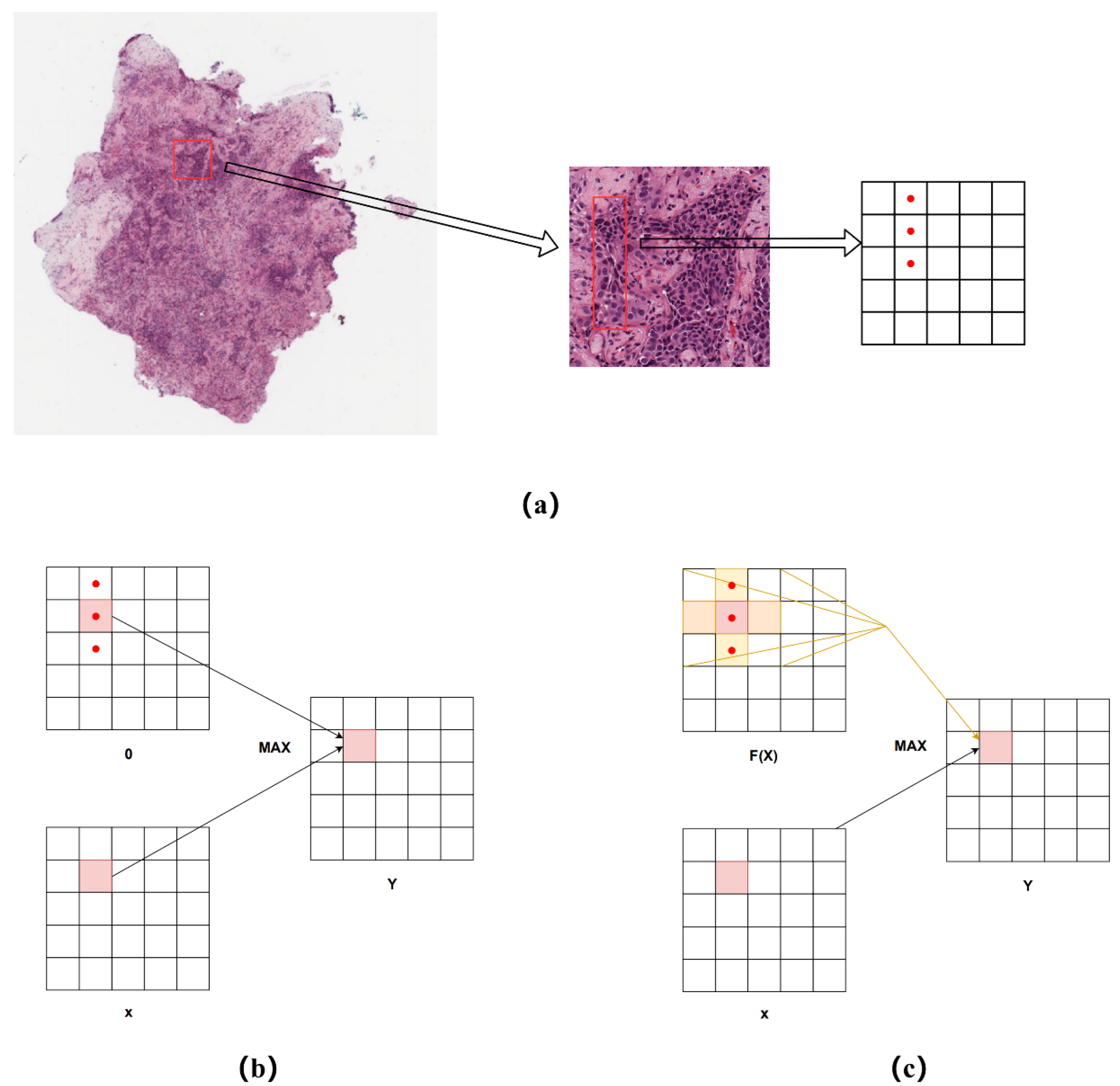 Cancers 14 05181 g003