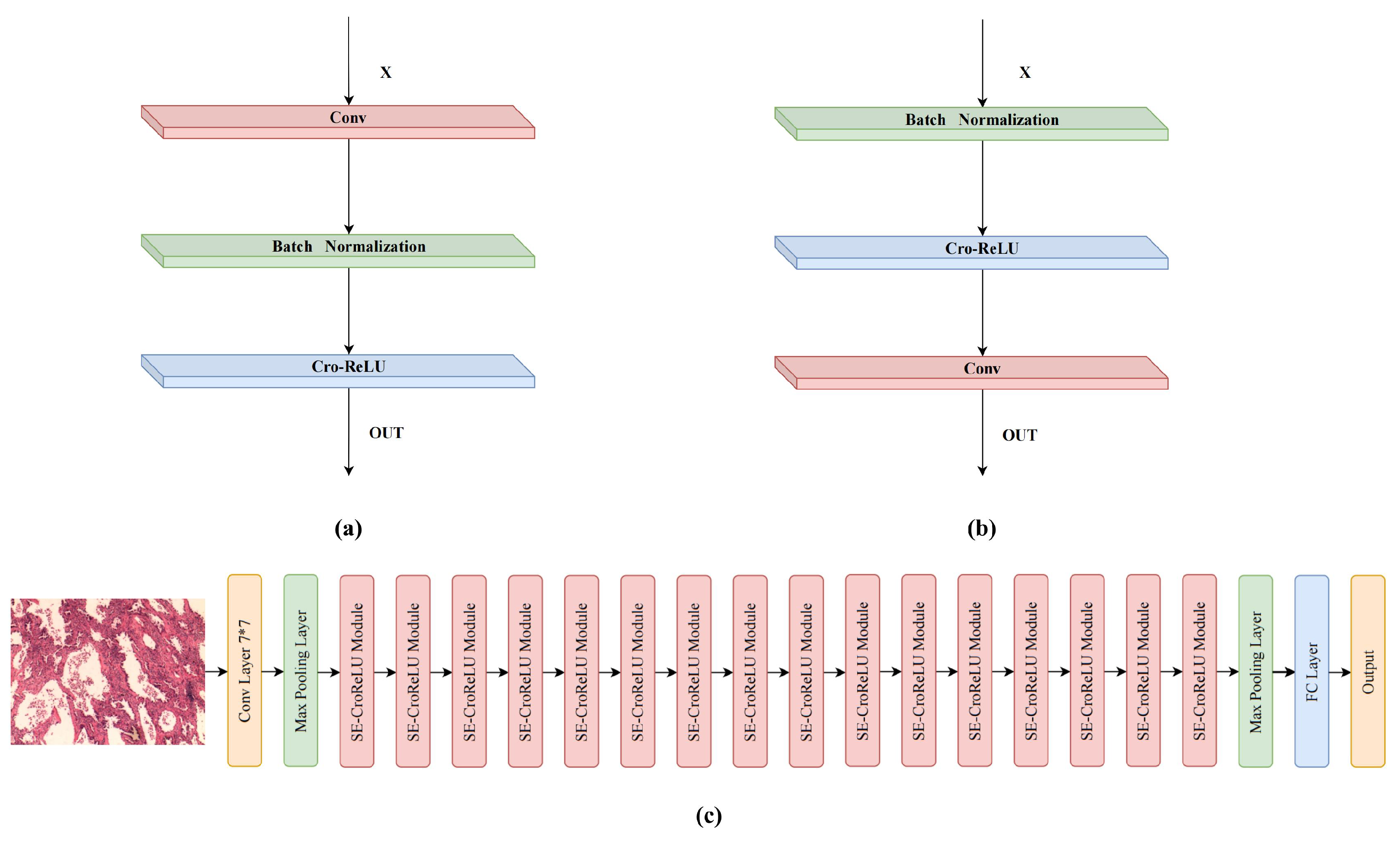 Cancers 14 05181 g004
