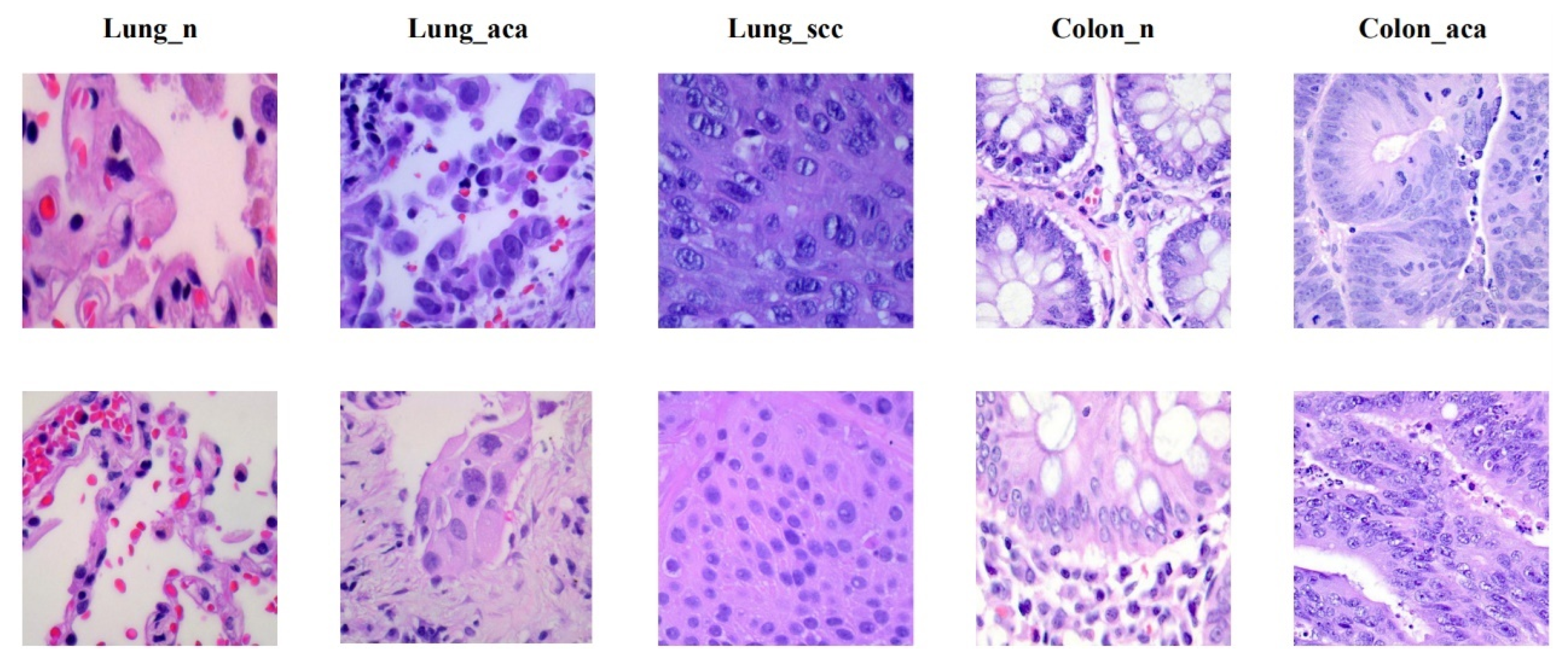 Cancers 14 05181 g007