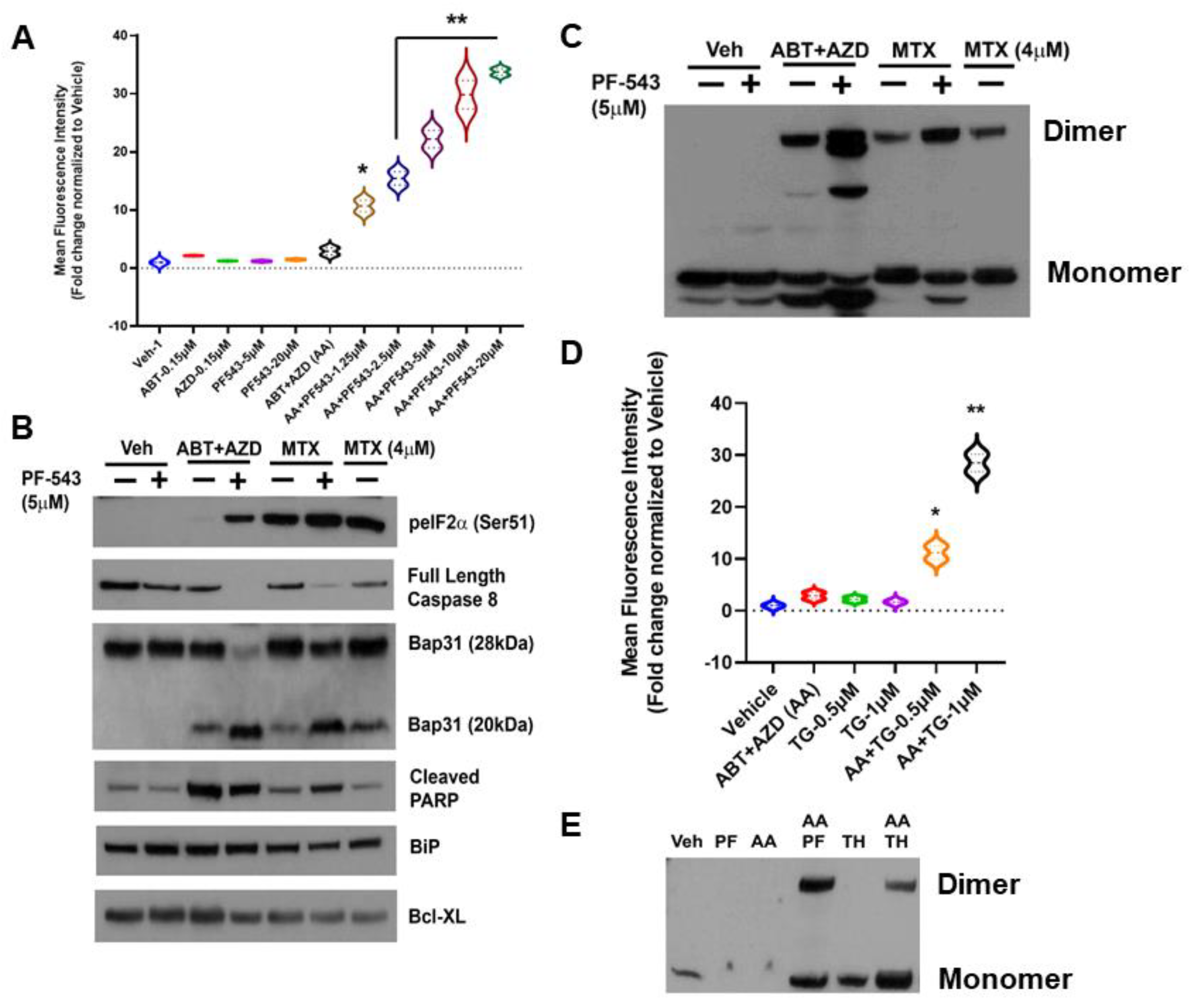 Cancers 14 05182 g002