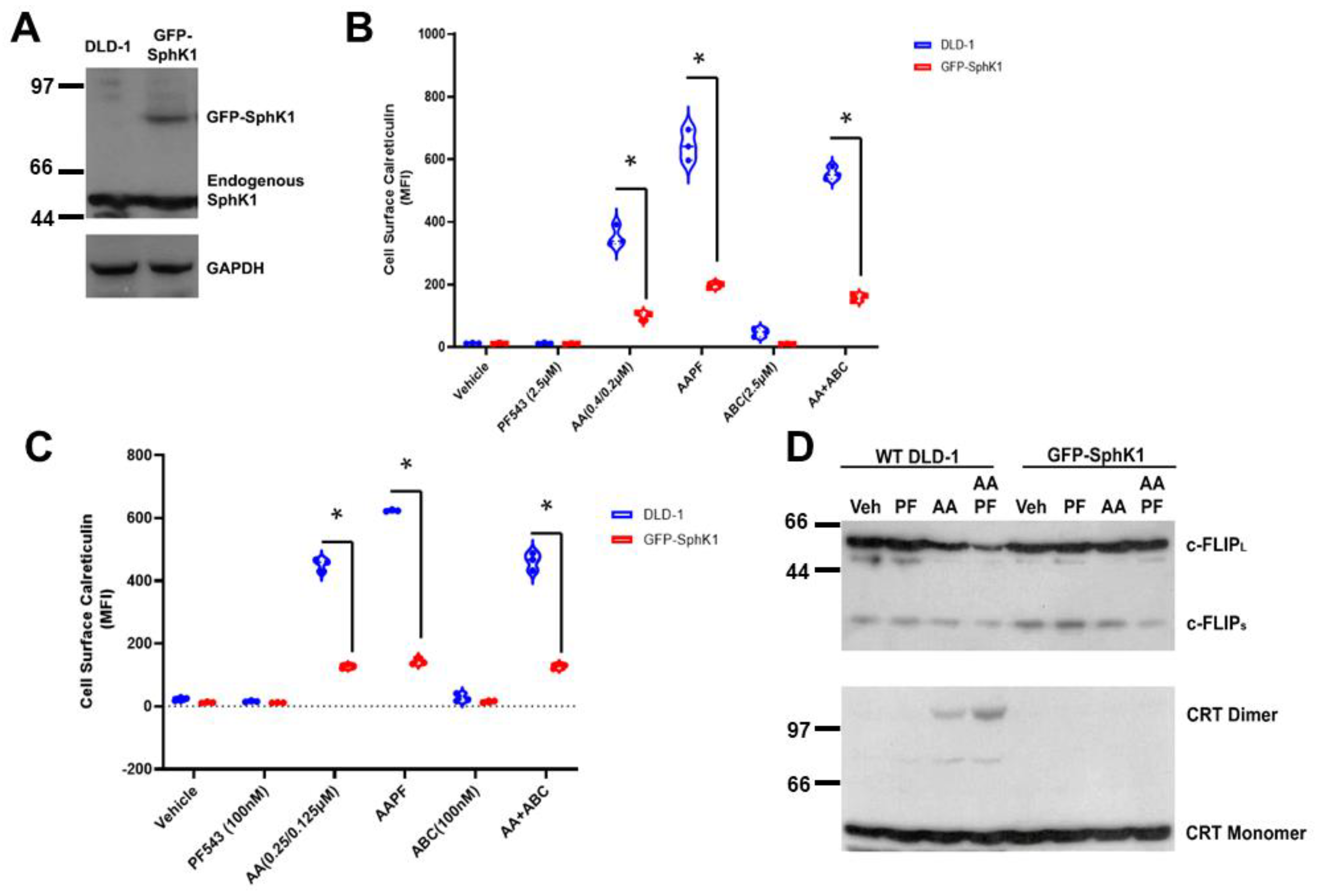Cancers 14 05182 g004