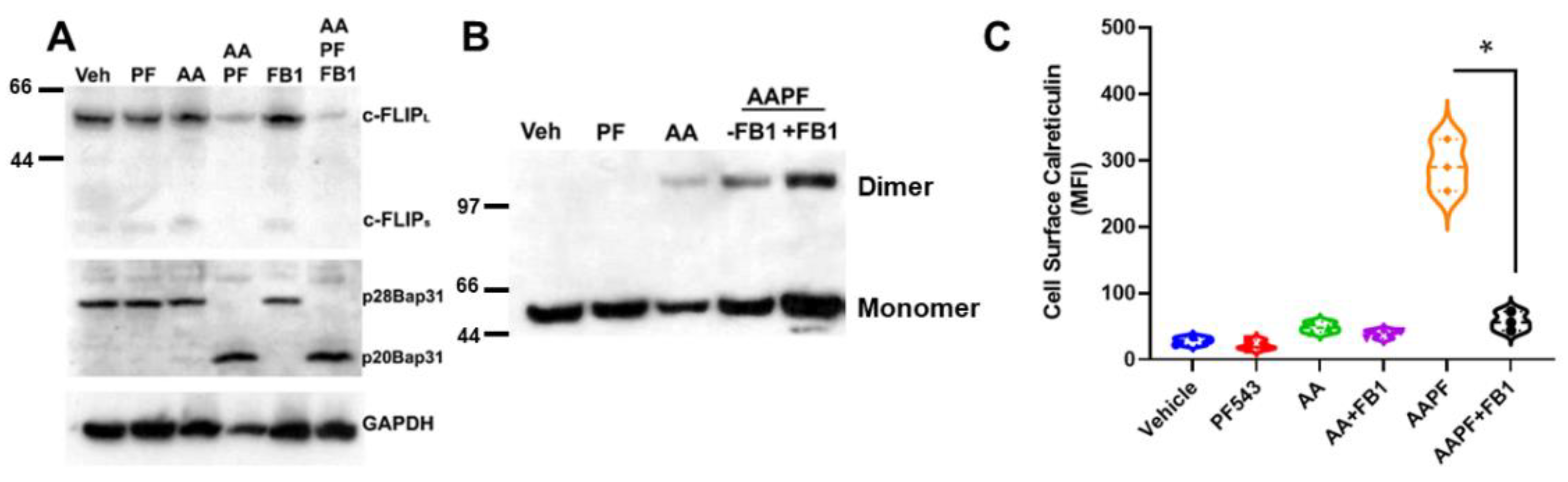 Cancers 14 05182 g005