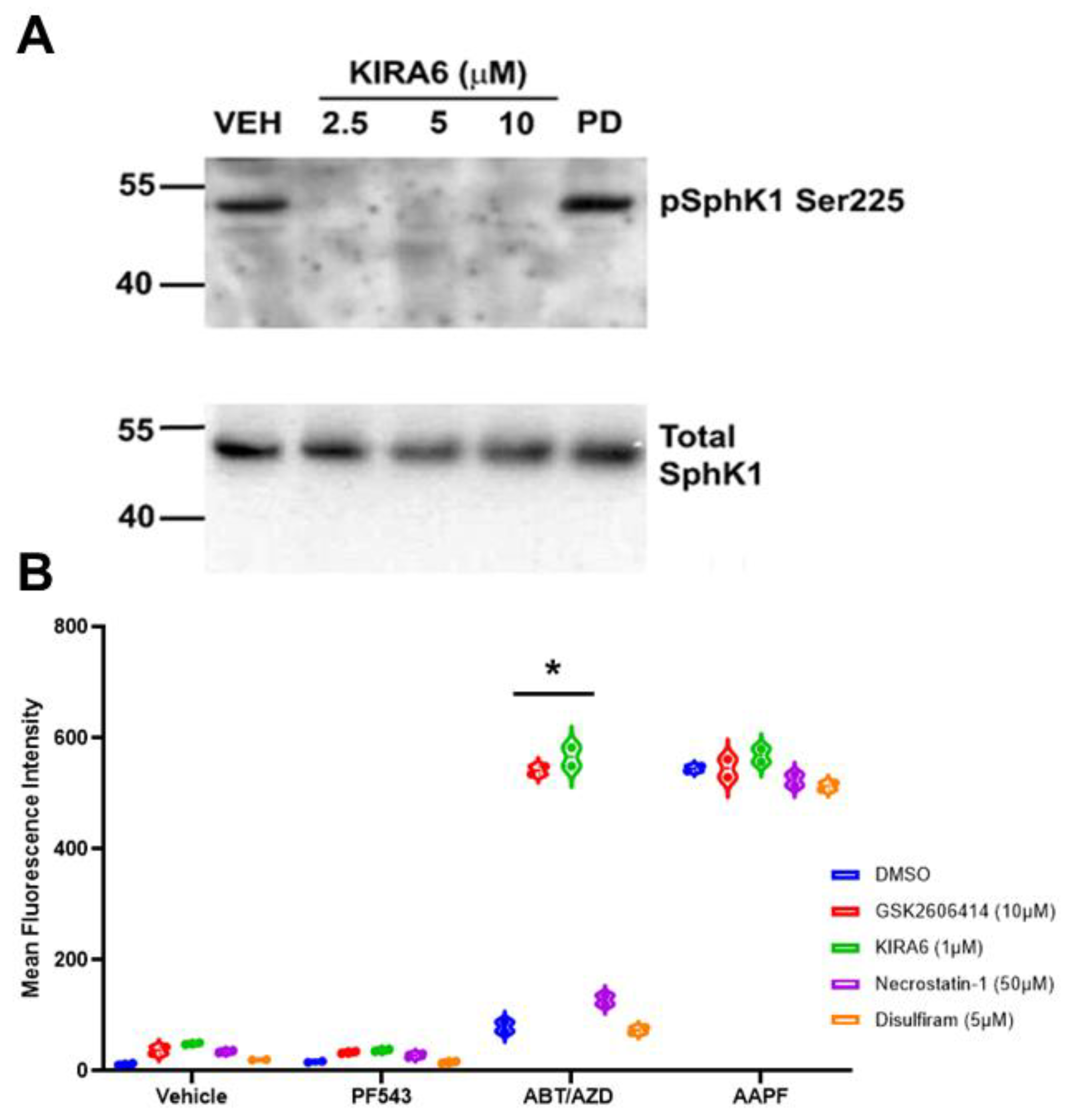 Cancers 14 05182 g006