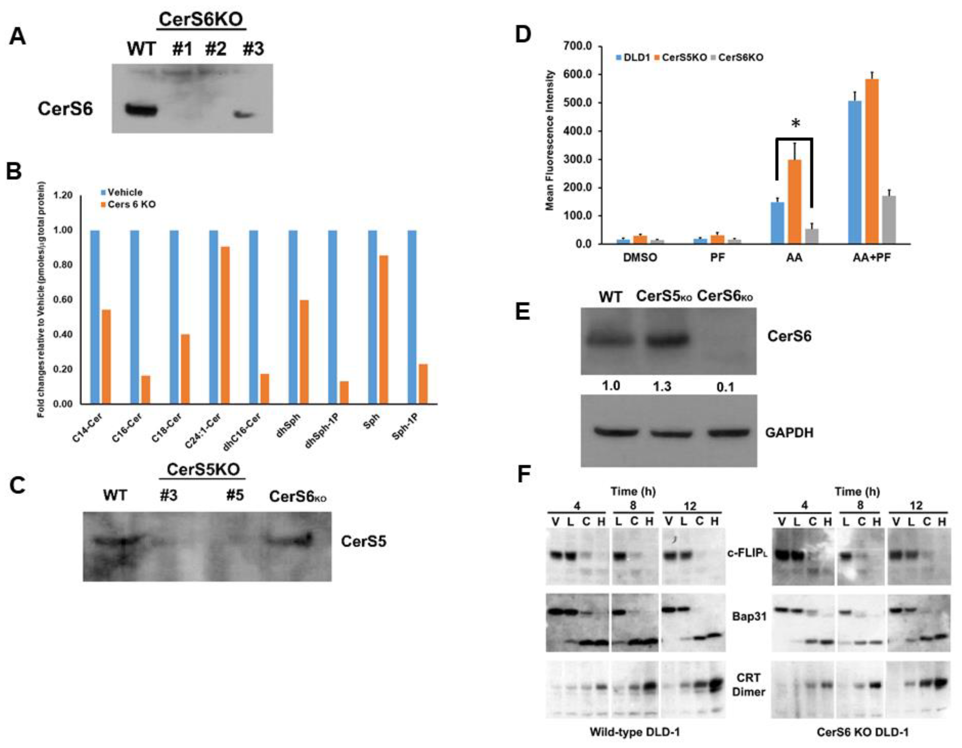 Cancers 14 05182 g008