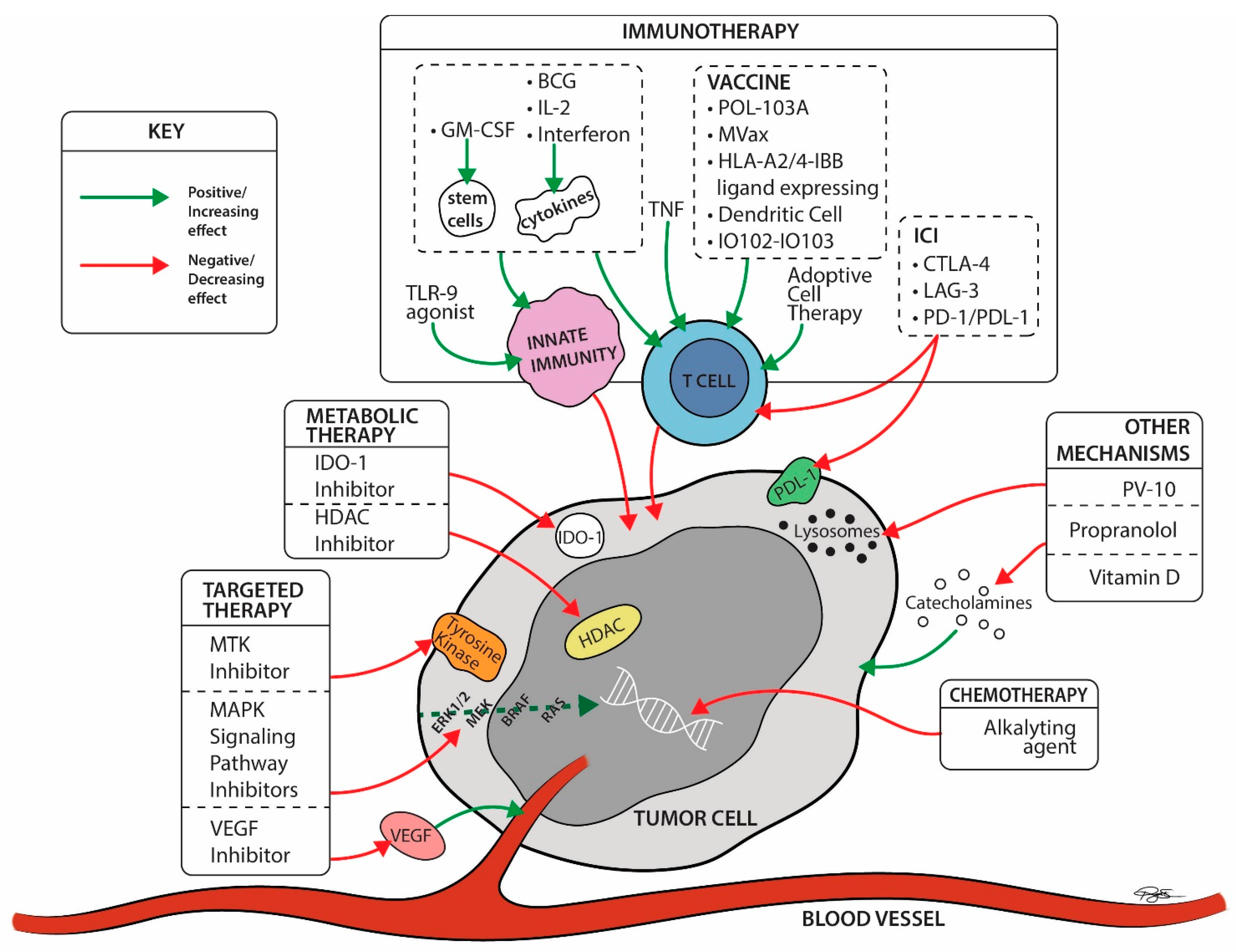 Cancers 14 05184 g004 Cancers 14 05184 g004