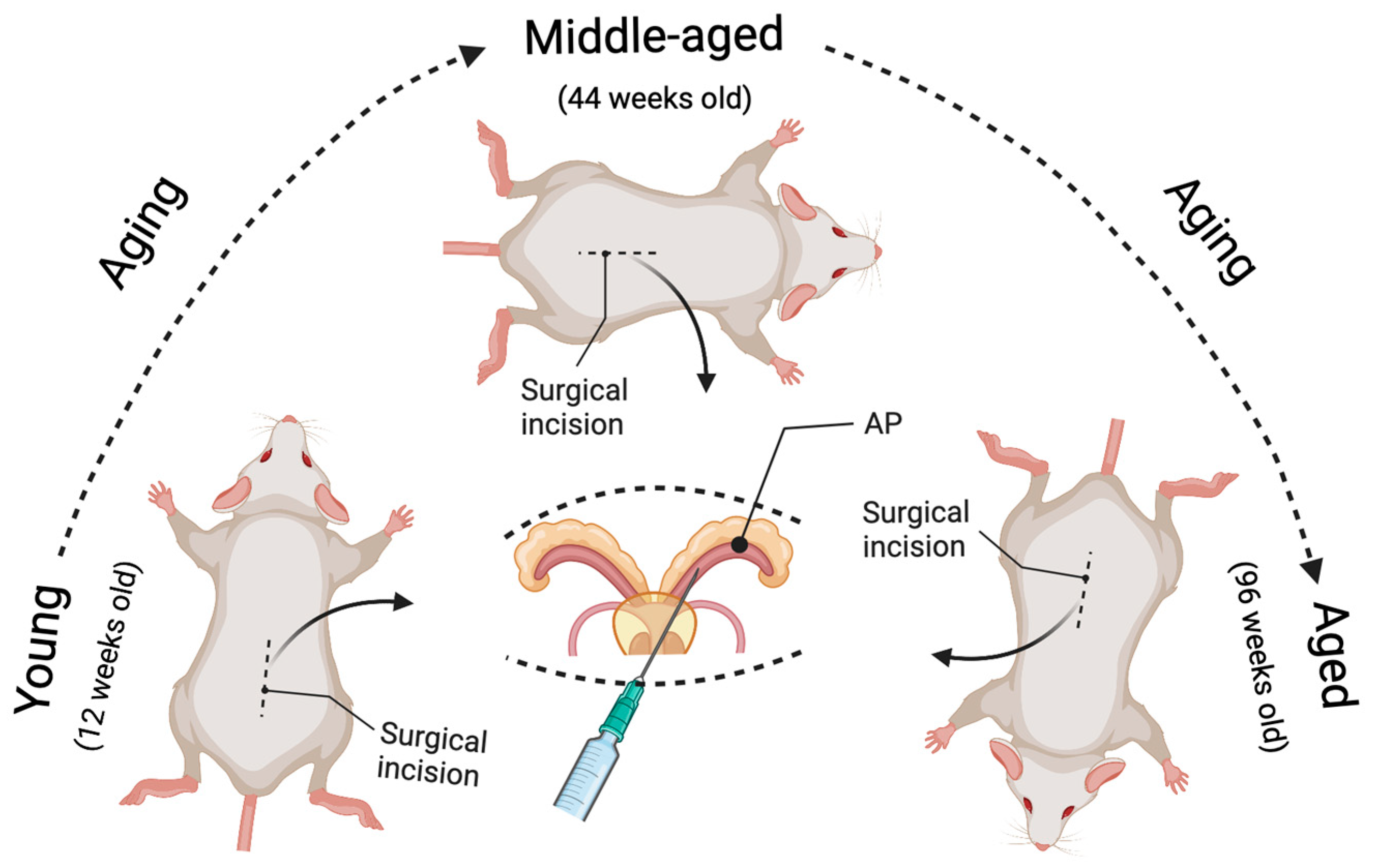 Cancers 14 05185 g001
