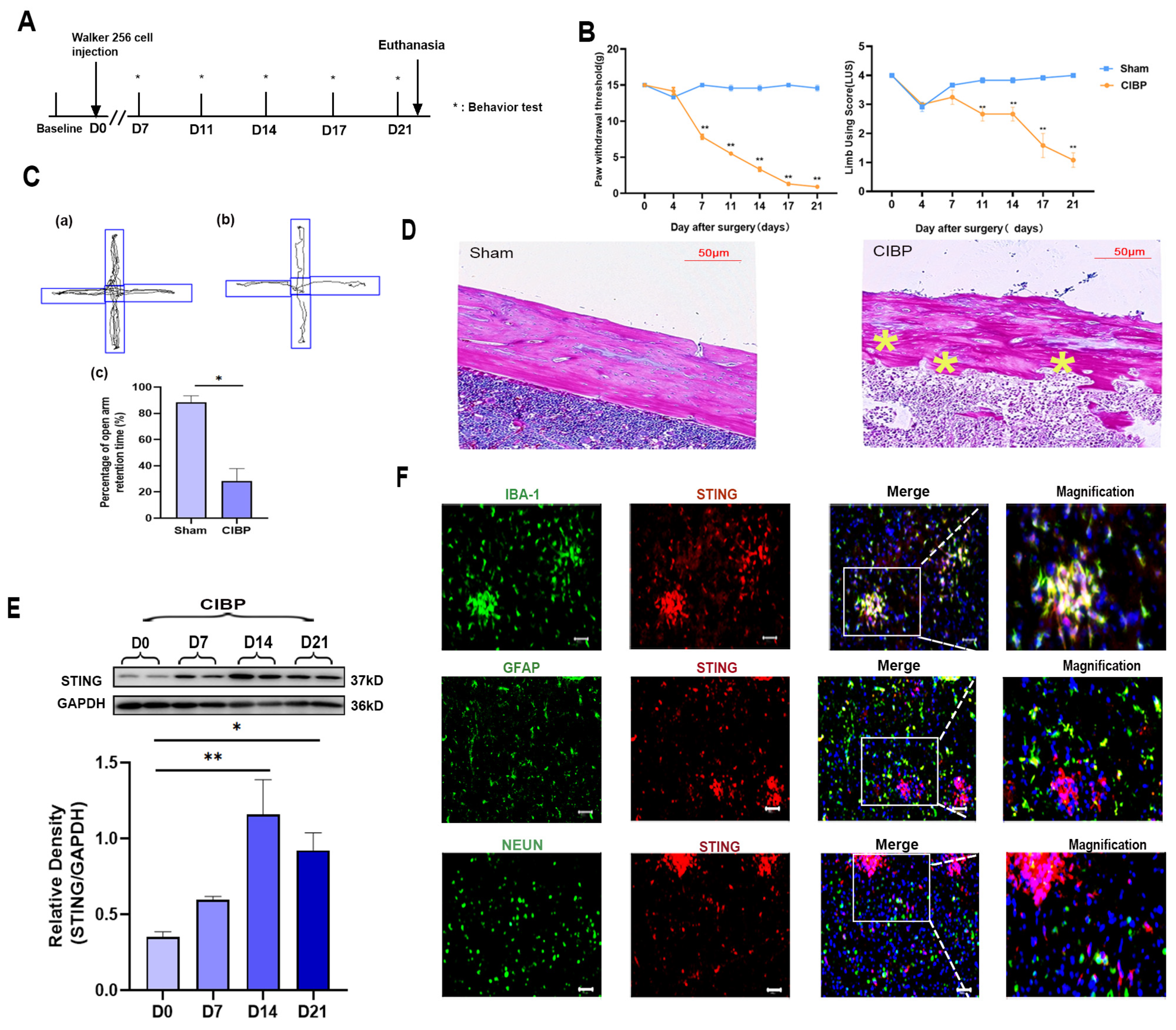 Cancers 14 05188 g001
