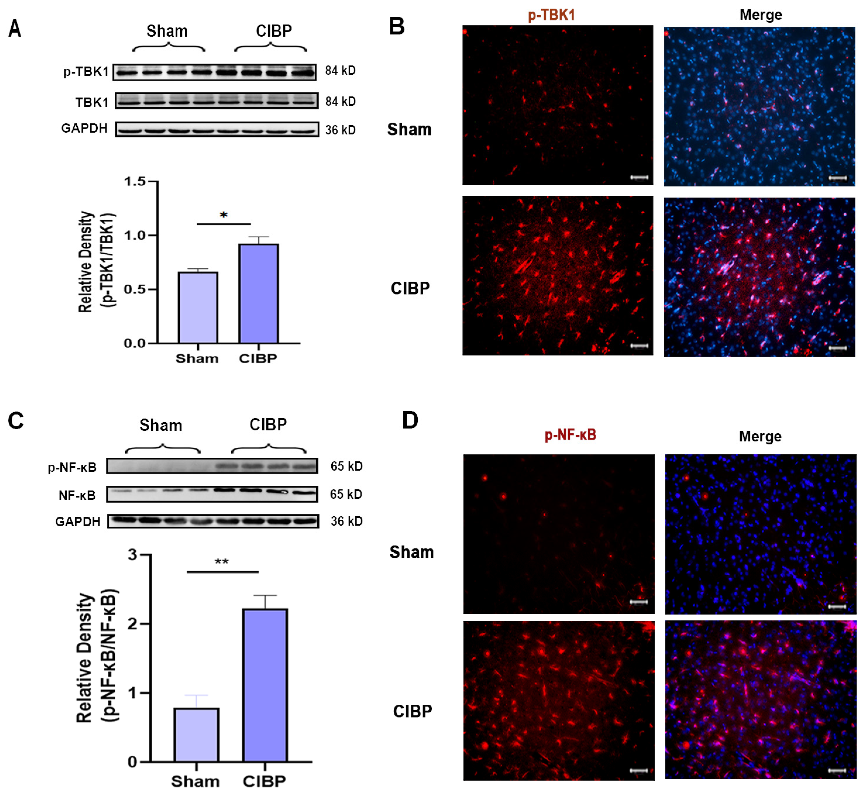 Cancers 14 05188 g002