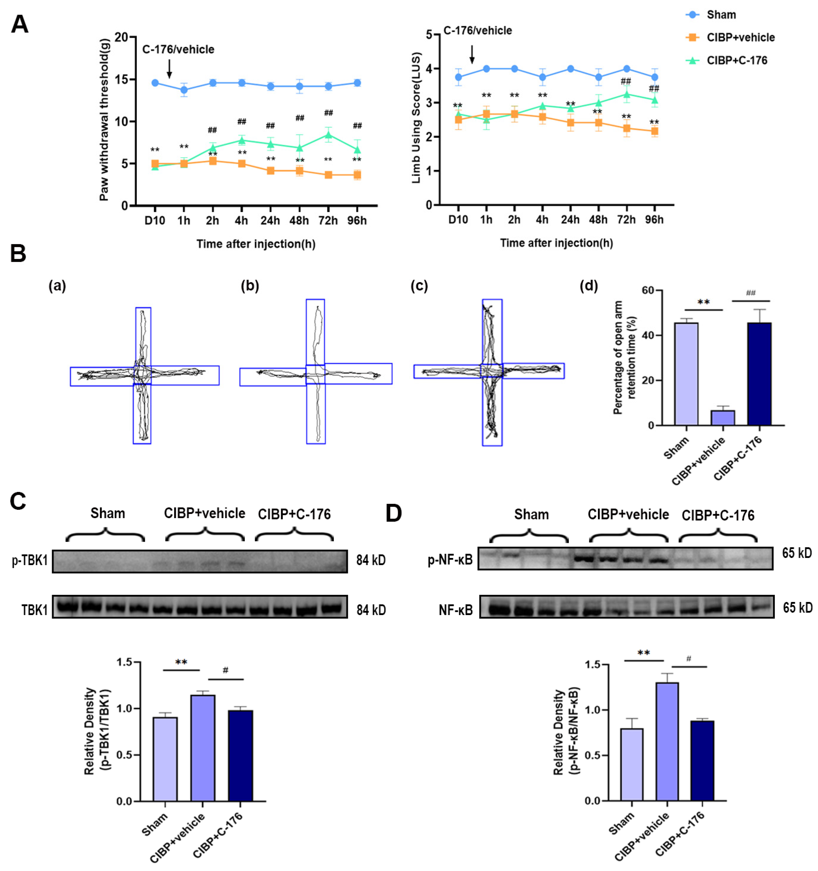 Cancers 14 05188 g003
