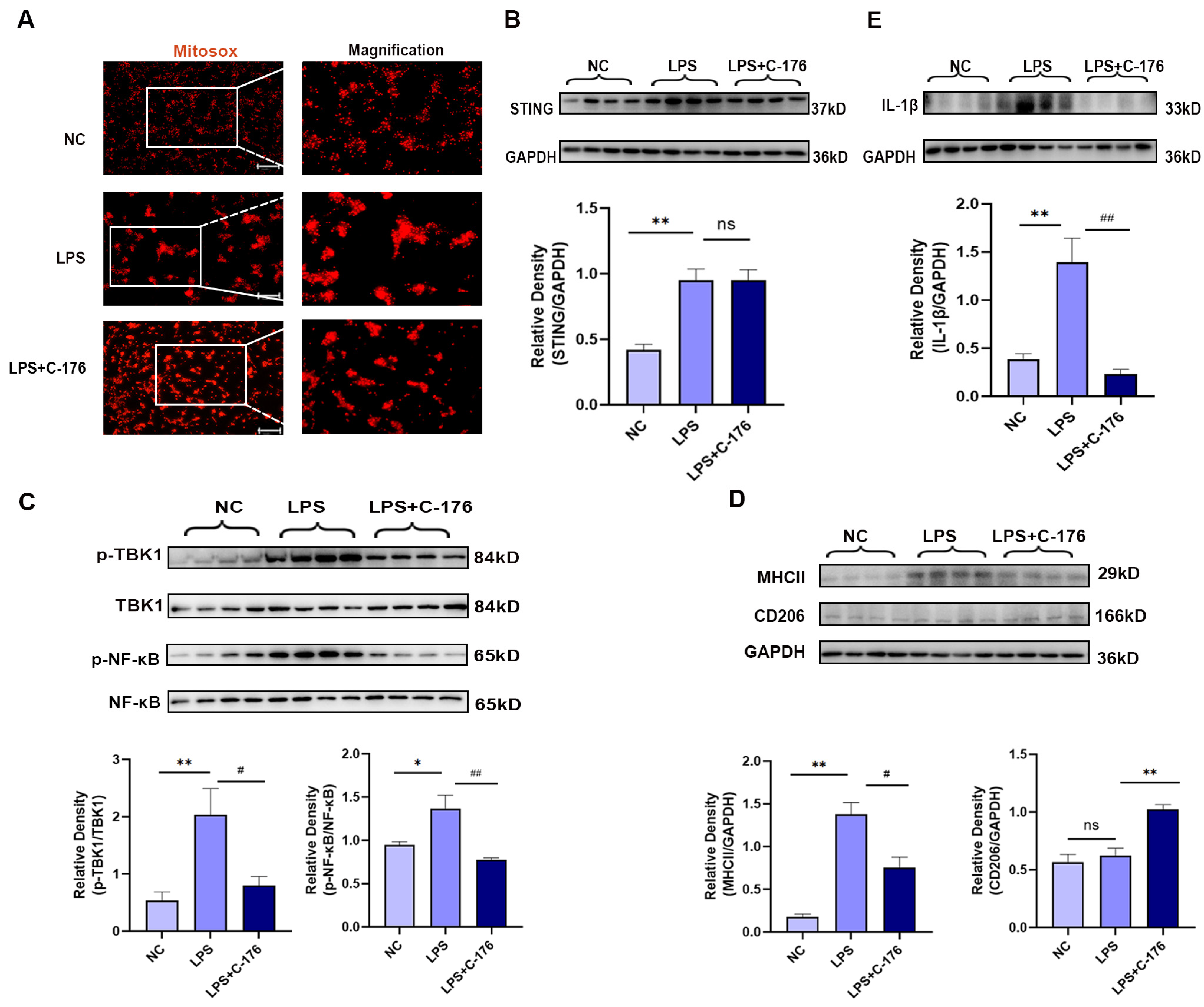 Cancers 14 05188 g005