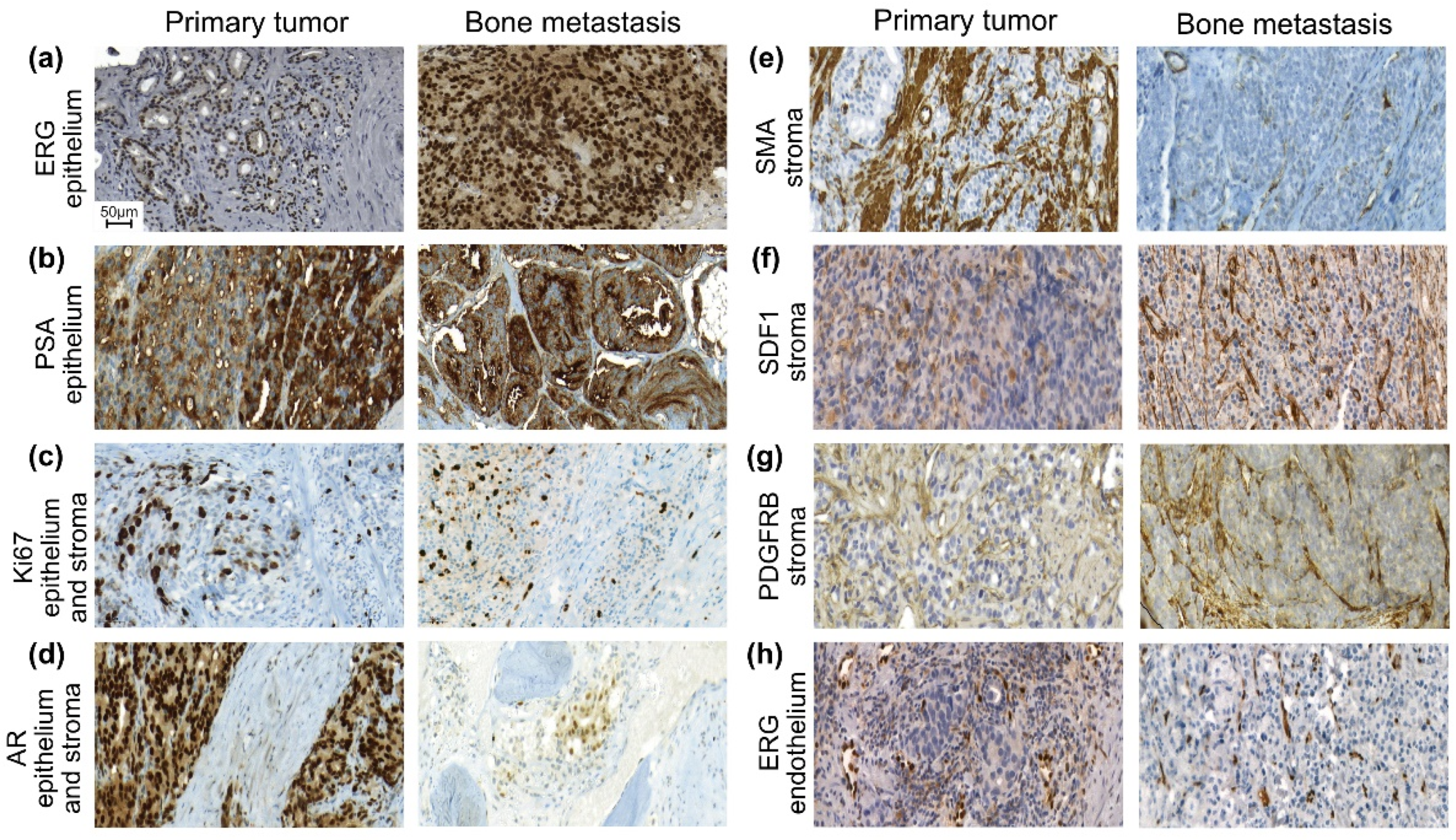 Cancers 14 05195 g001