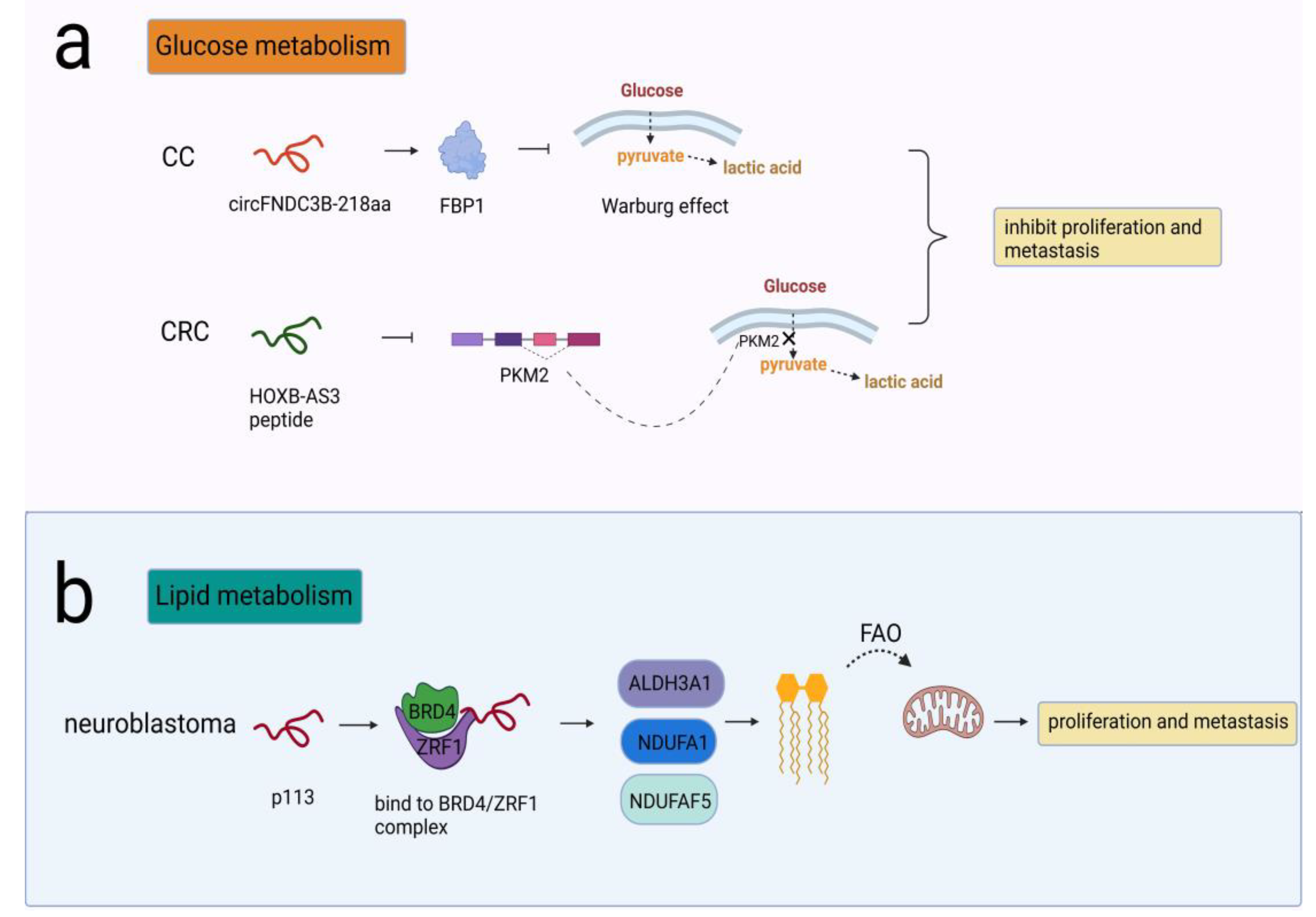 Cancers 14 05196 g003 Cancers 14 05196 g003