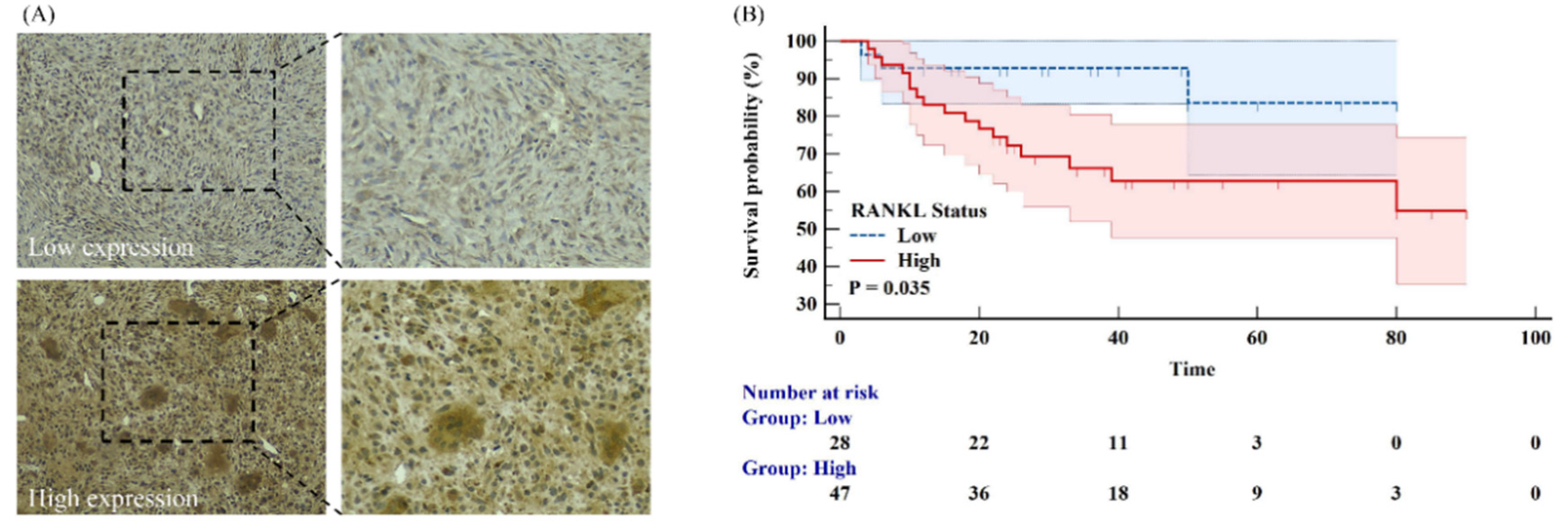 Cancers 14 05201 g005 Cancers 14 05201 g005
