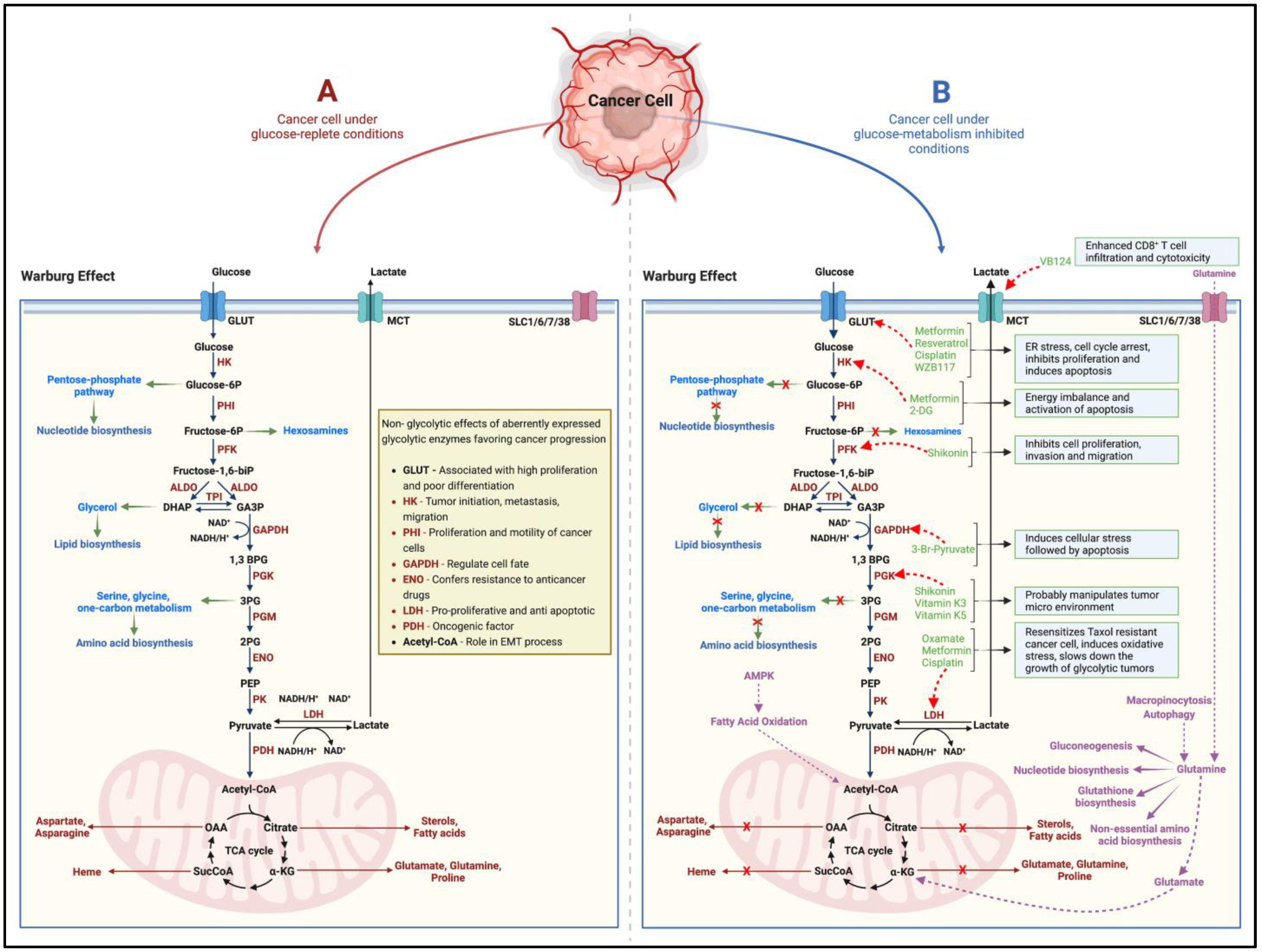 Cancers 14 05202 g001