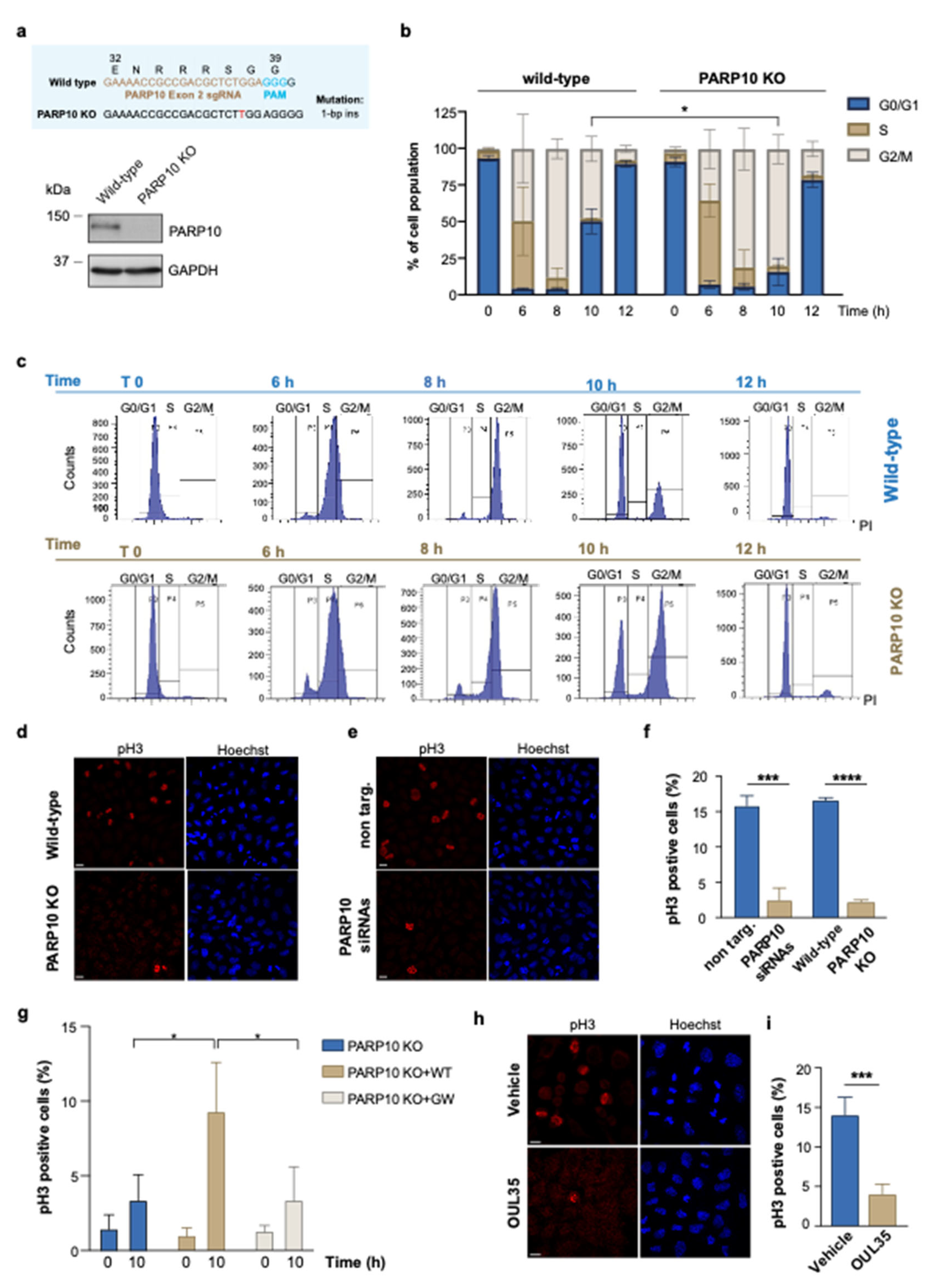 Cancers 14 05210 g001 Cancers 14 05210 g001