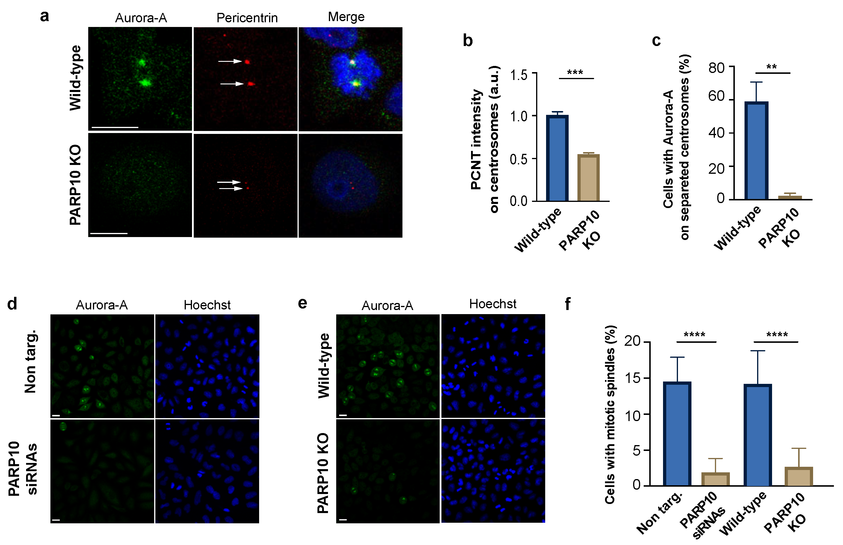 Cancers 14 05210 g004 Cancers 14 05210 g004