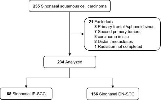 Cancers 14 05211 g001