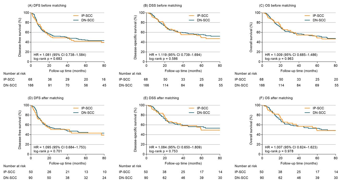 Cancers 14 05211 g002