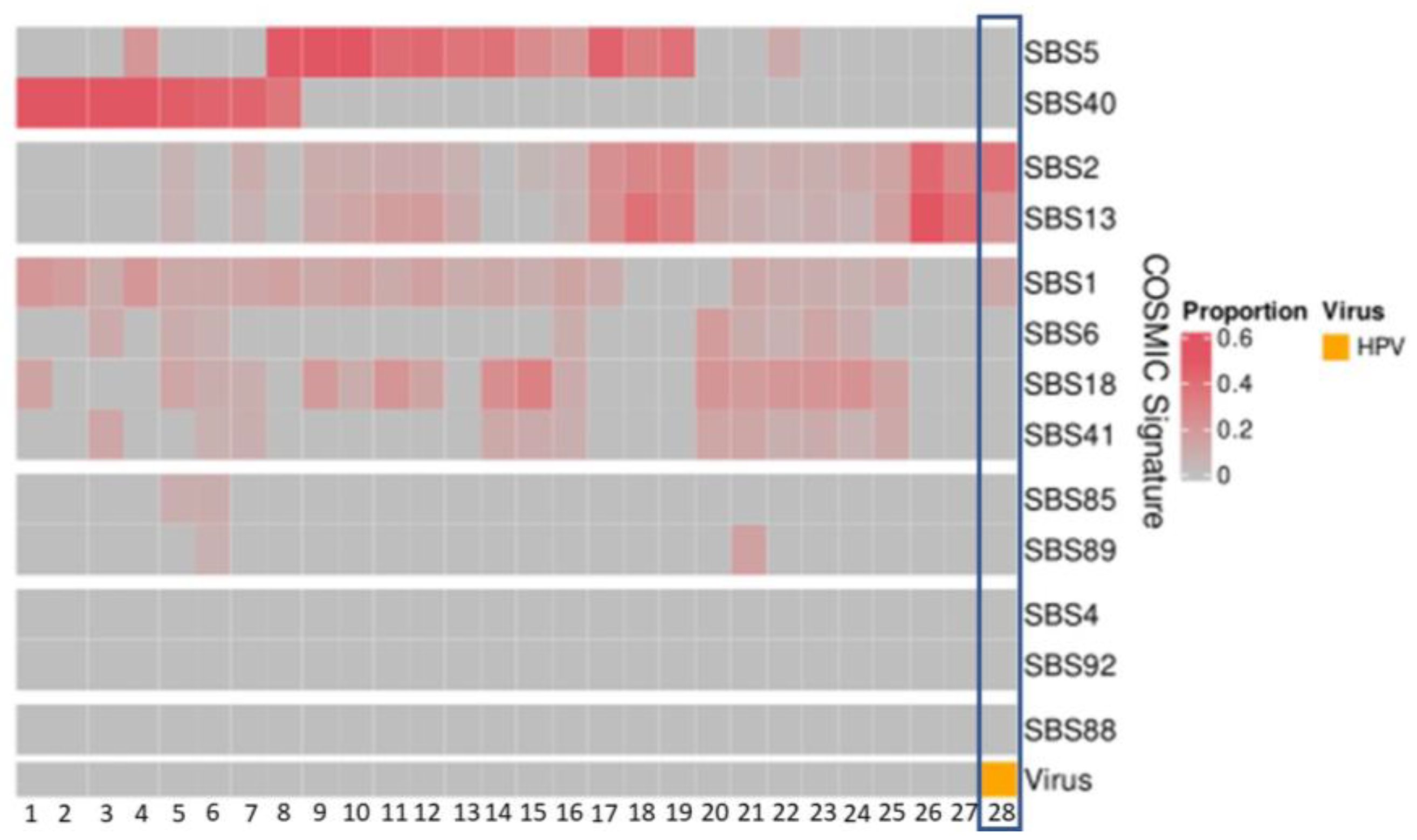 Cancers 14 05213 g003