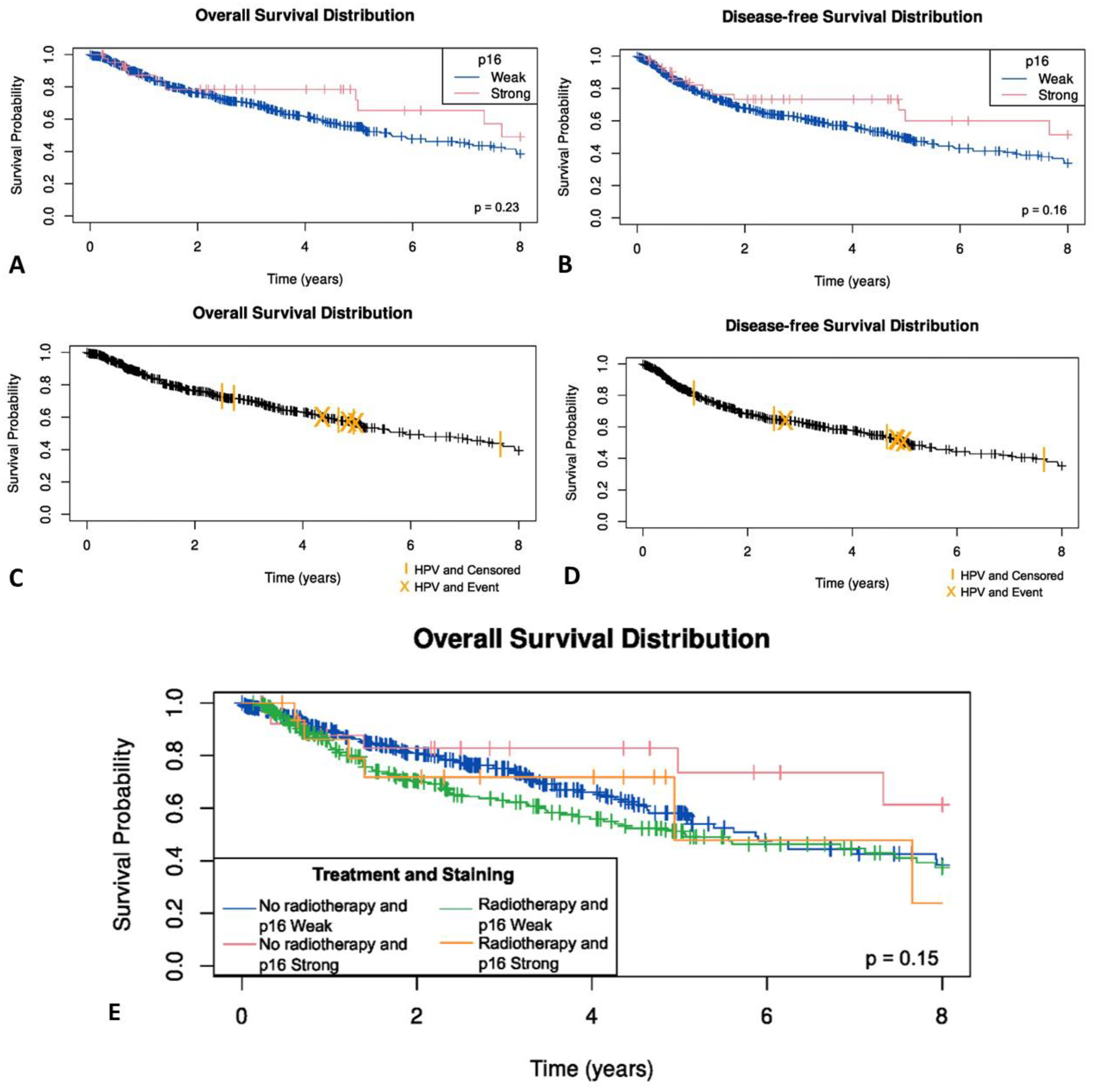 Cancers 14 05213 g006
