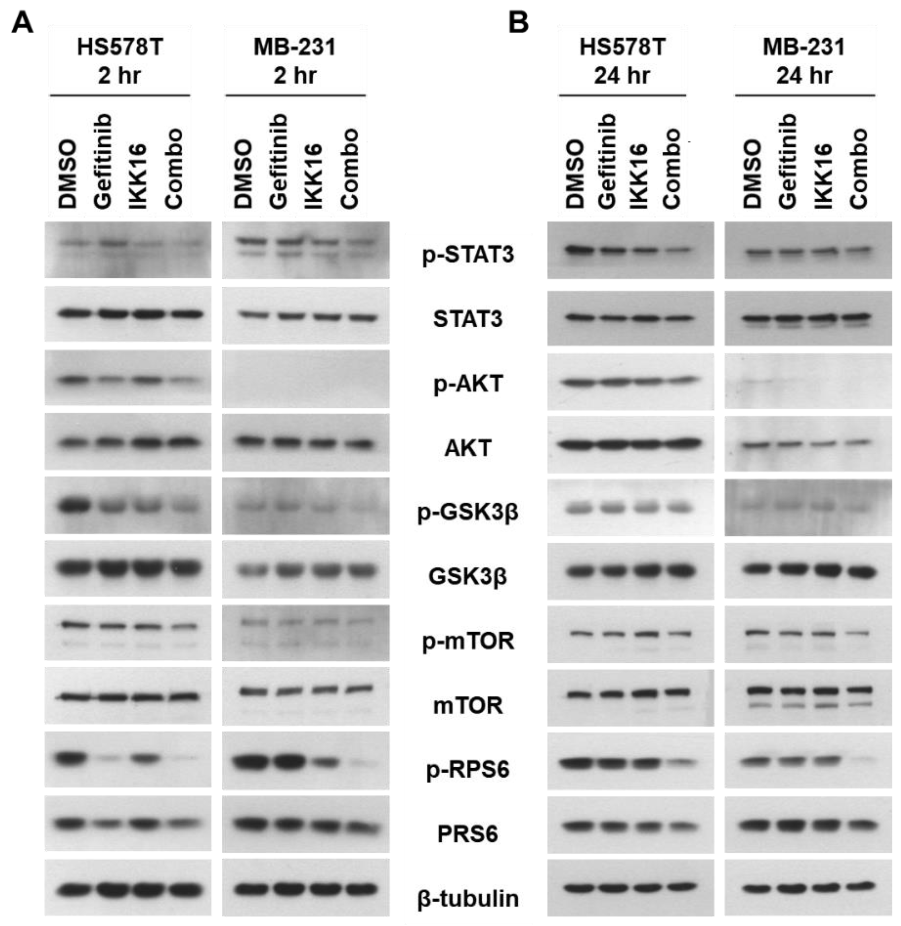Cancers 14 05215 g004