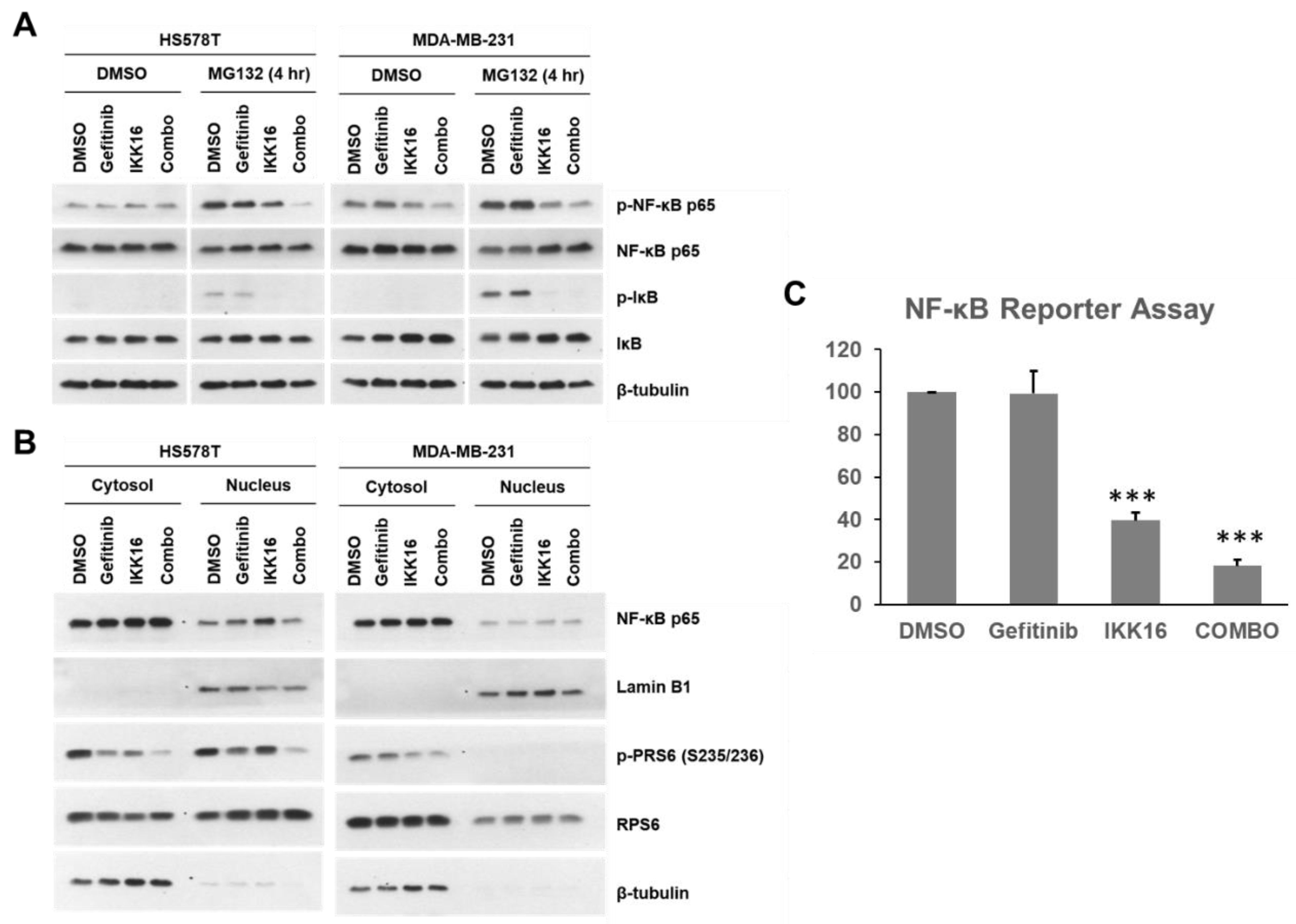 Cancers 14 05215 g005