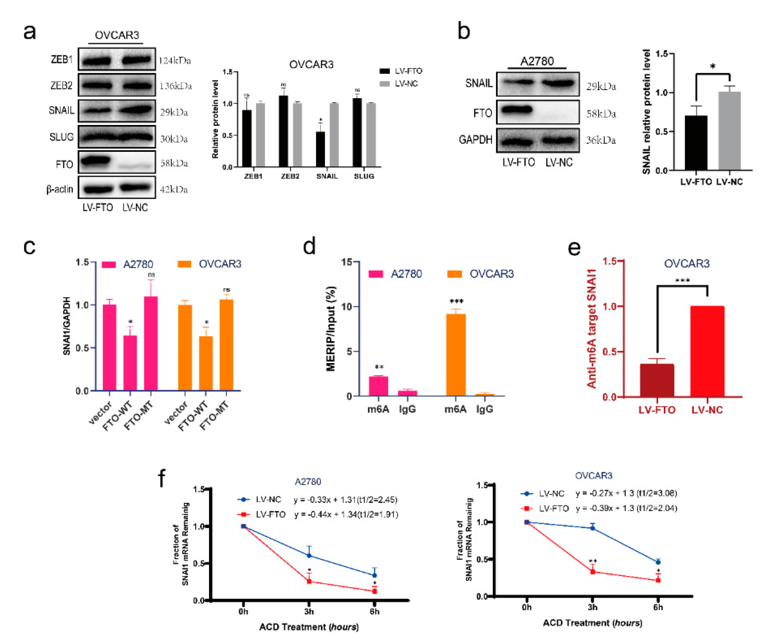 Cancers 14 05218 g004